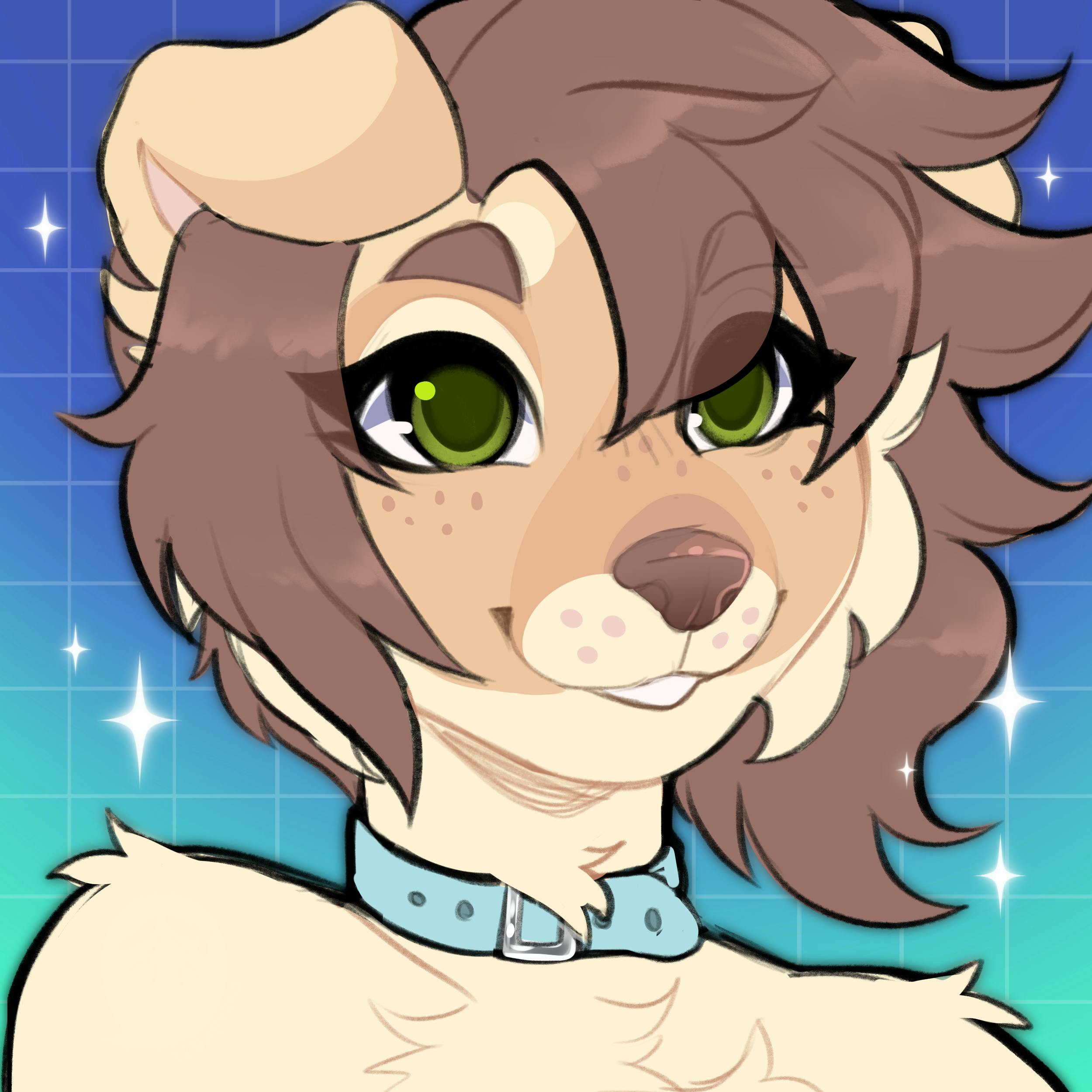 user avatar image for Foxxies