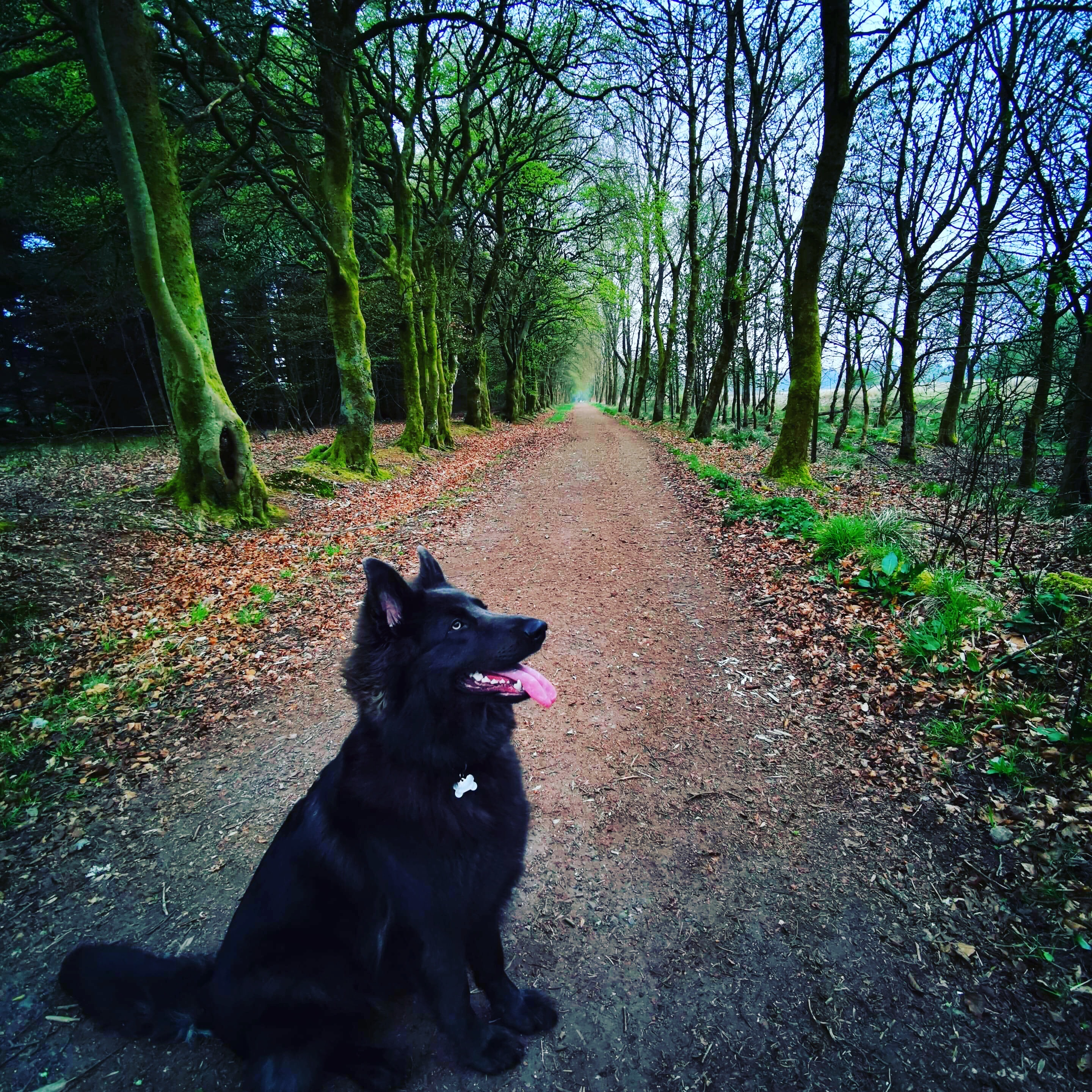 user avatar image for Paul 