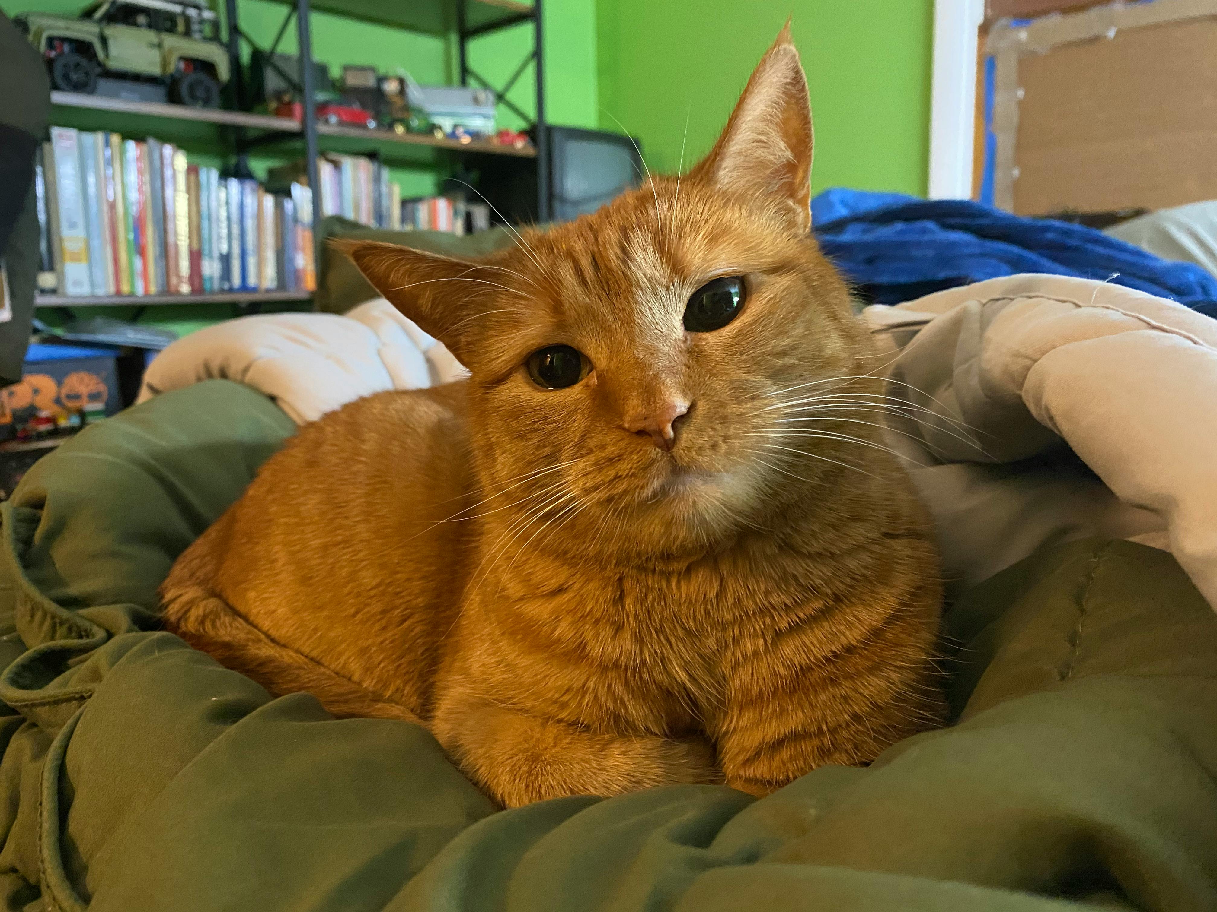 user avatar image for Will115