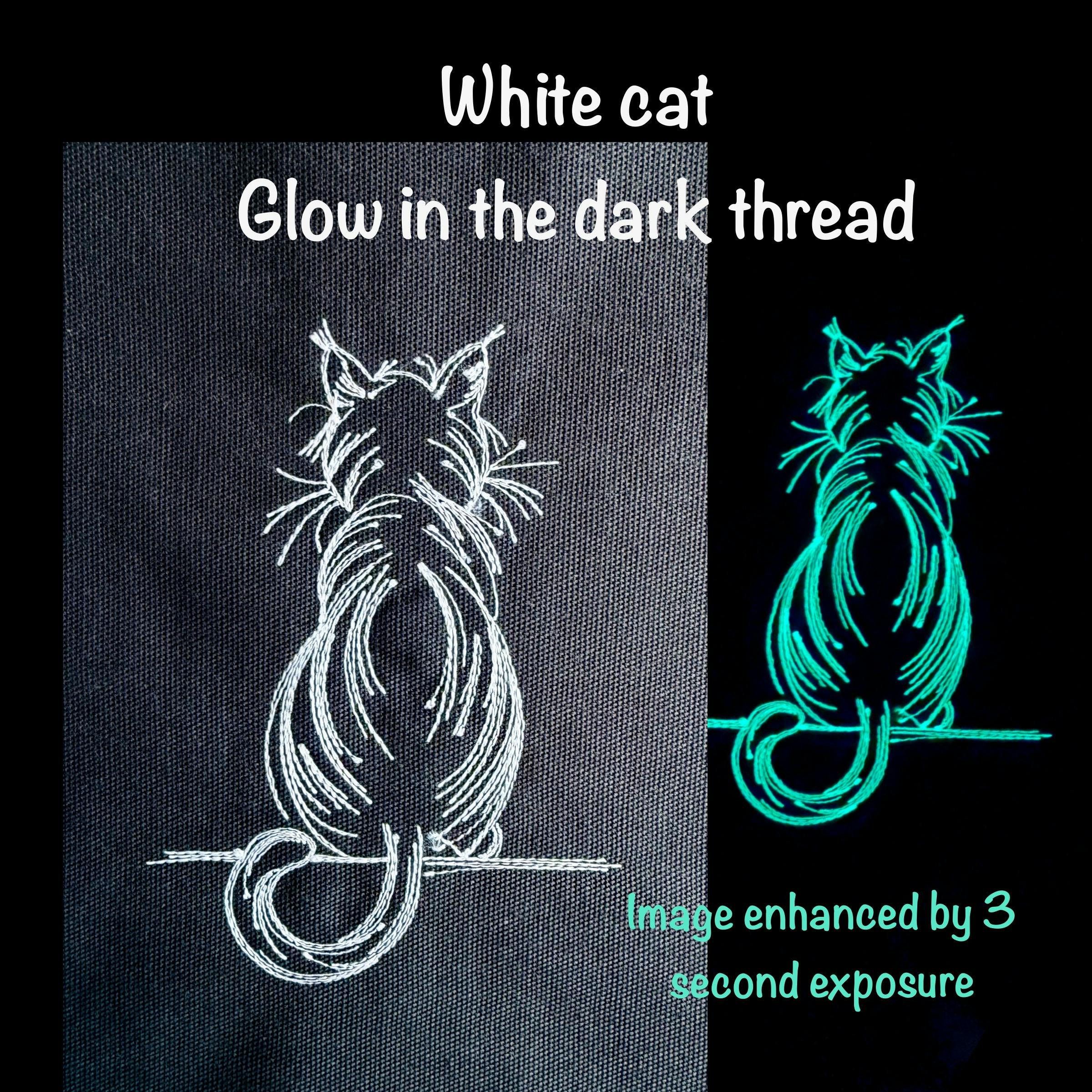 Glow in the Dark Cat banner