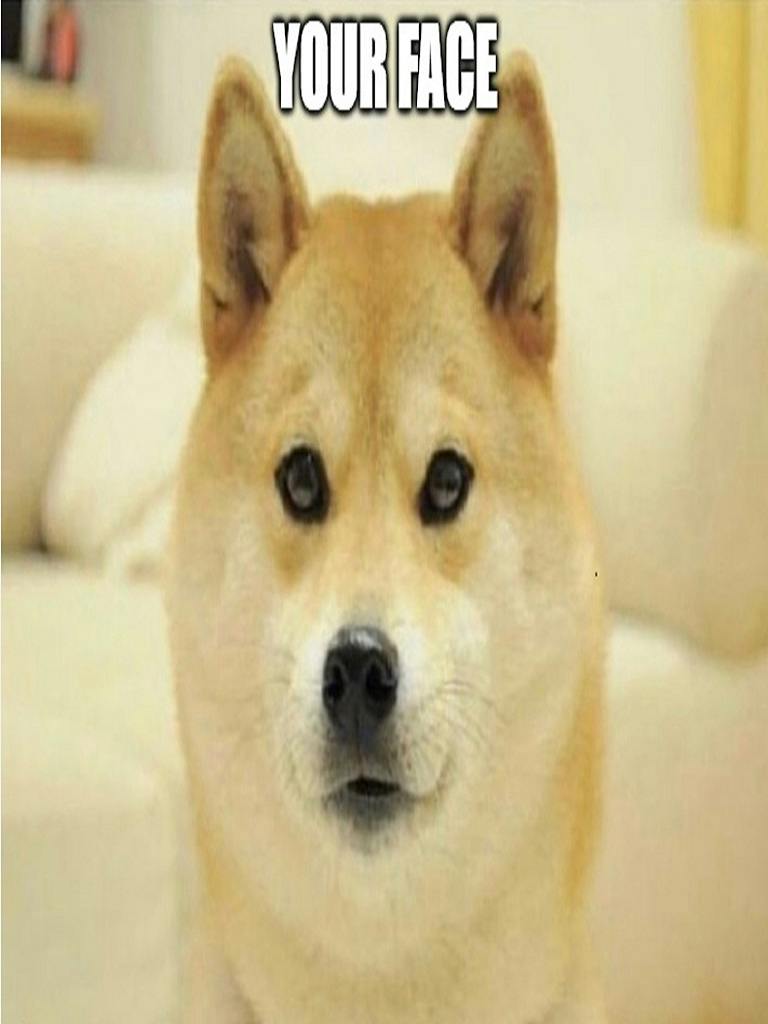 user avatar image for Fi