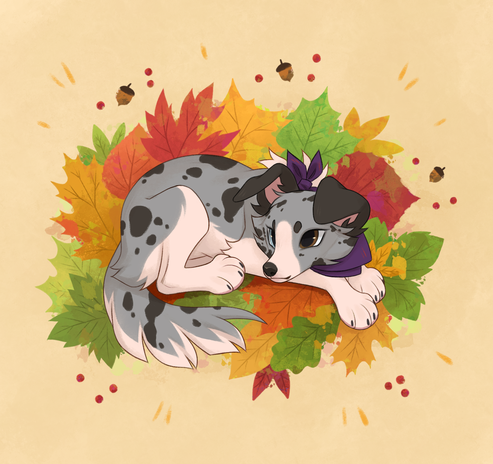 user avatar image for Shawna Butcher