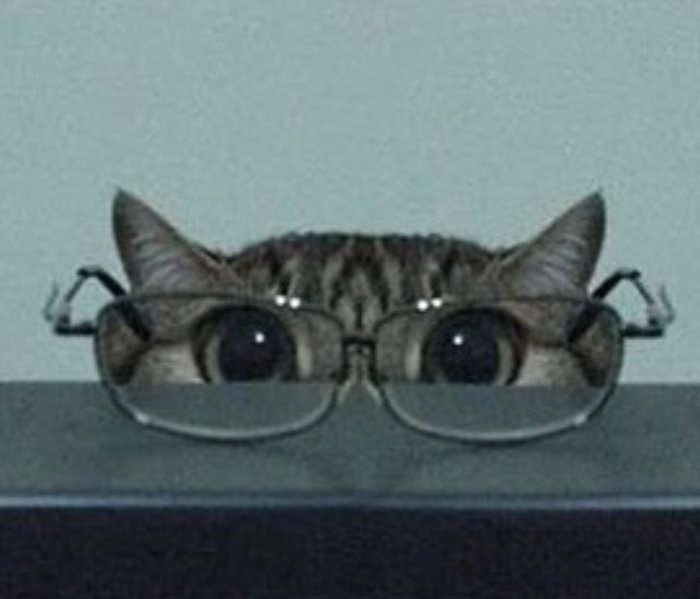 user avatar image for rain