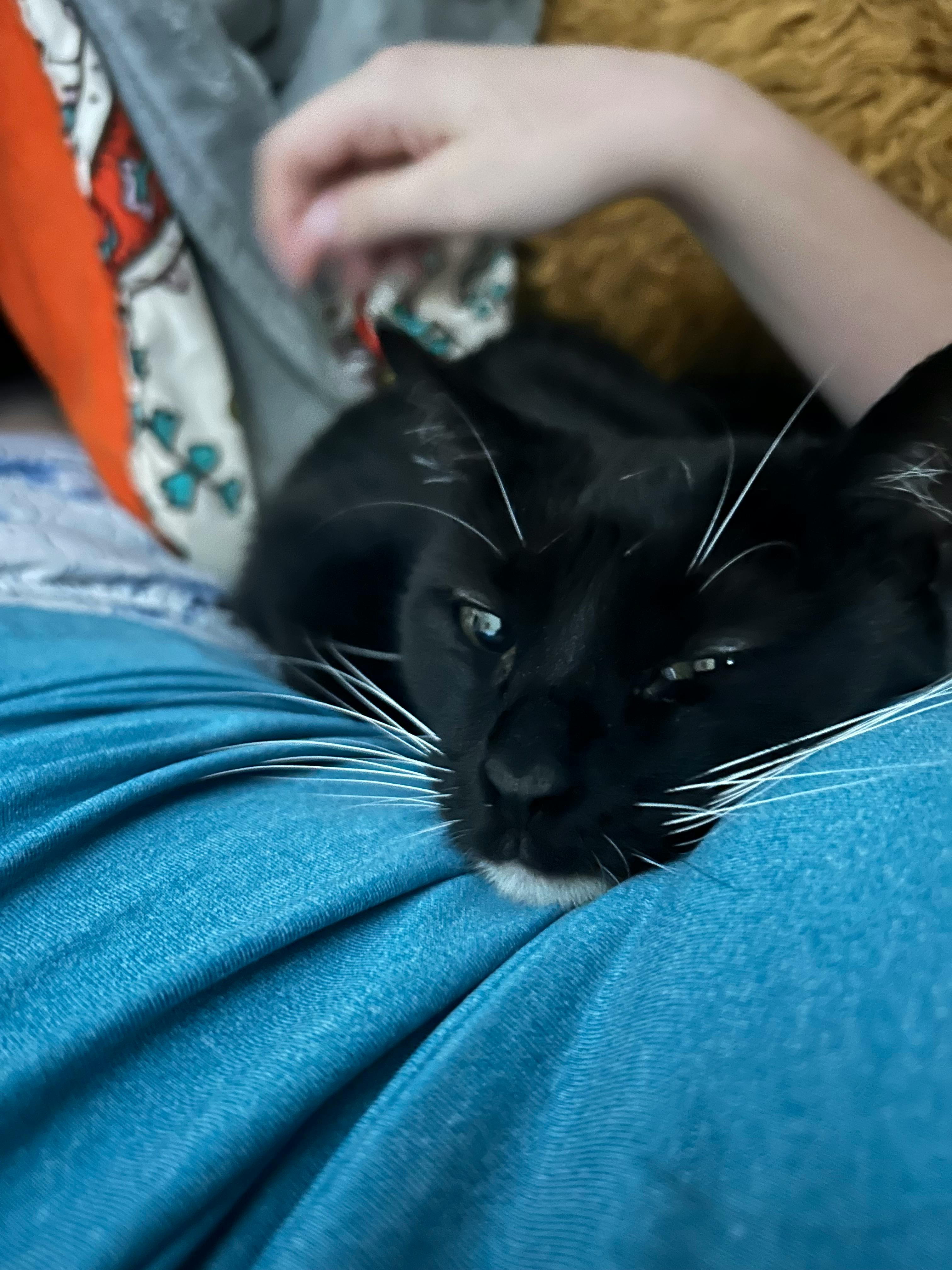 user avatar image for Ellen Shortridge