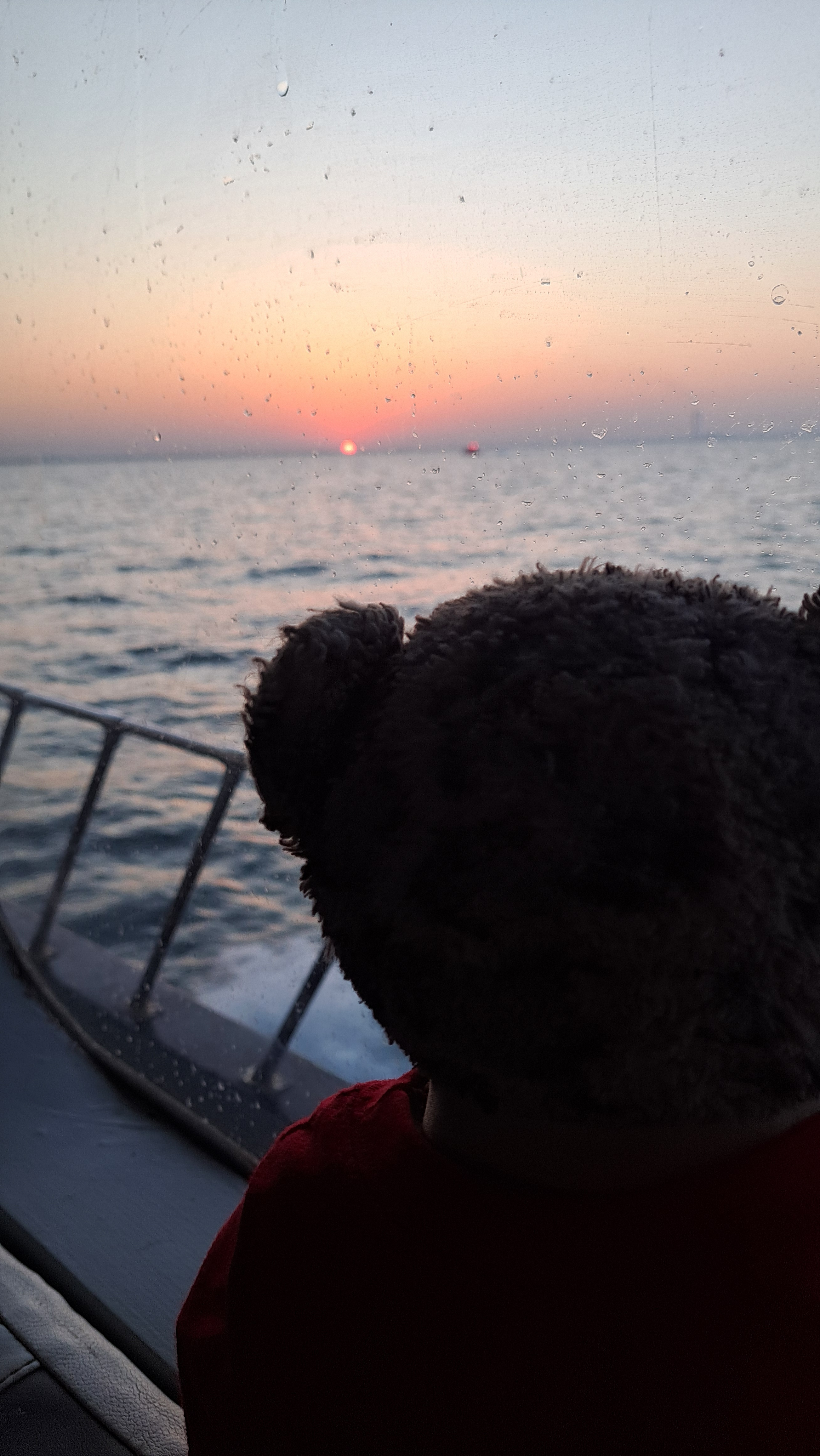 user avatar image for Stephnie Valdes