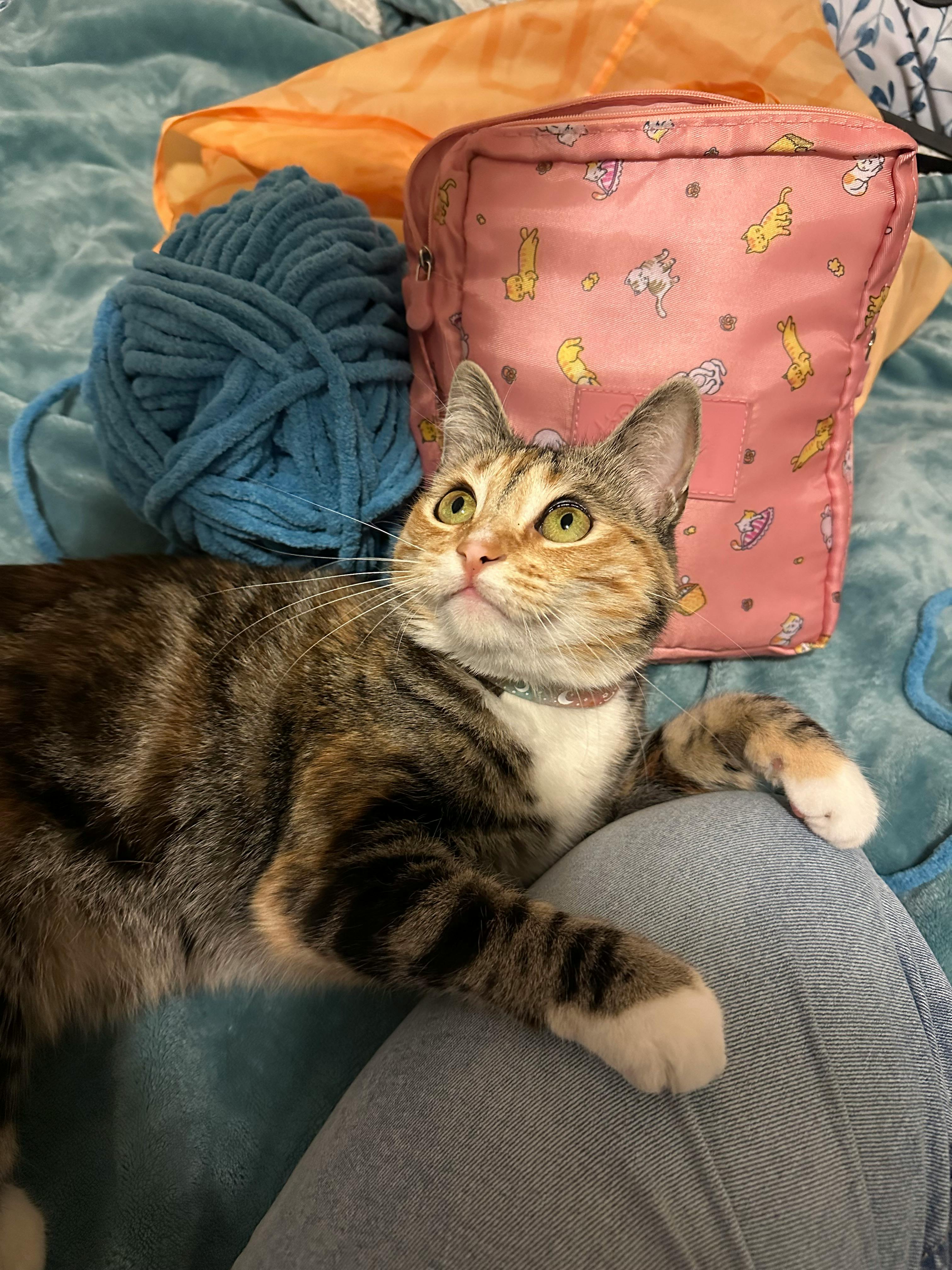 user avatar image for rainylainy 