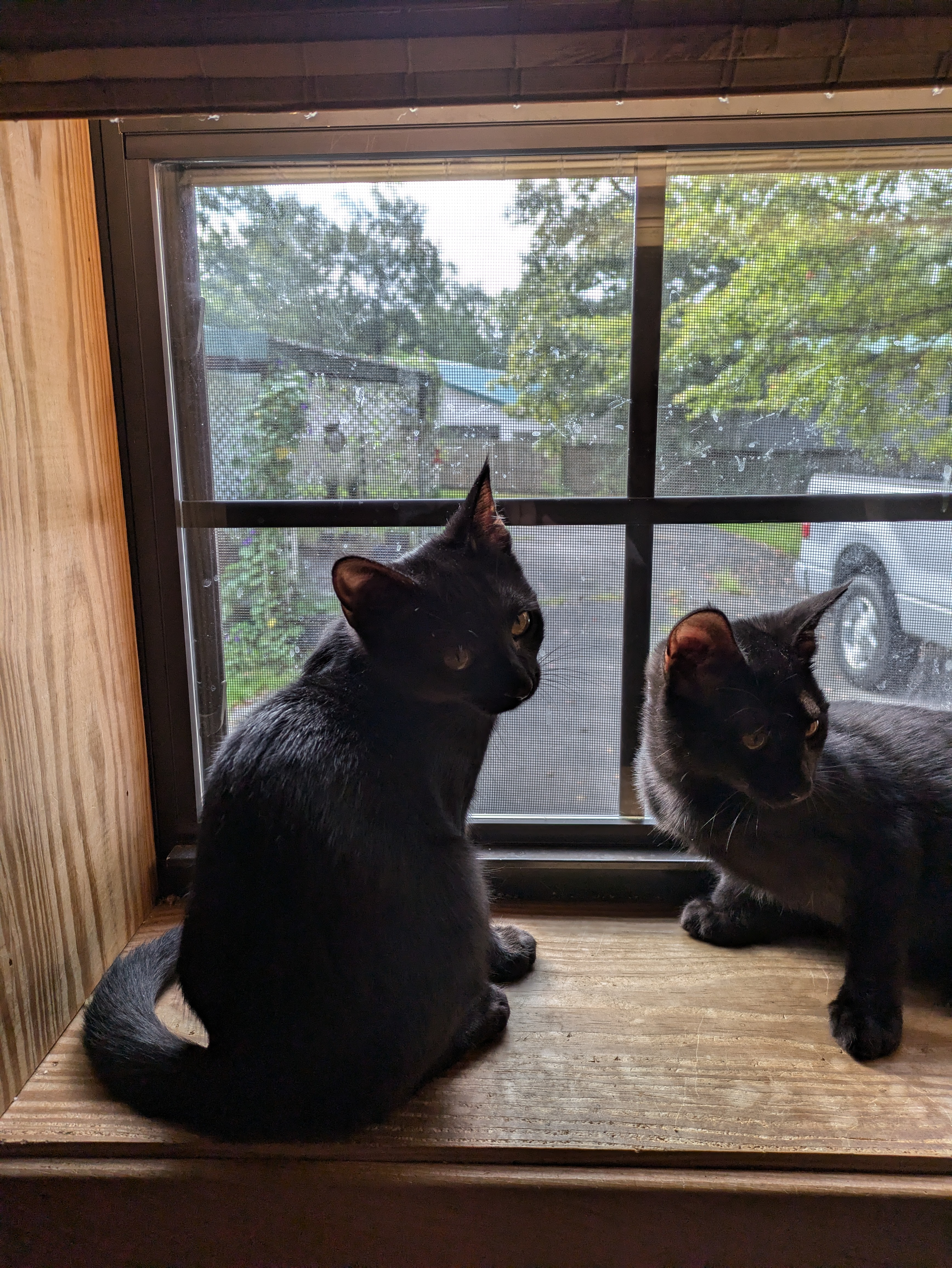 user avatar image for Rowan