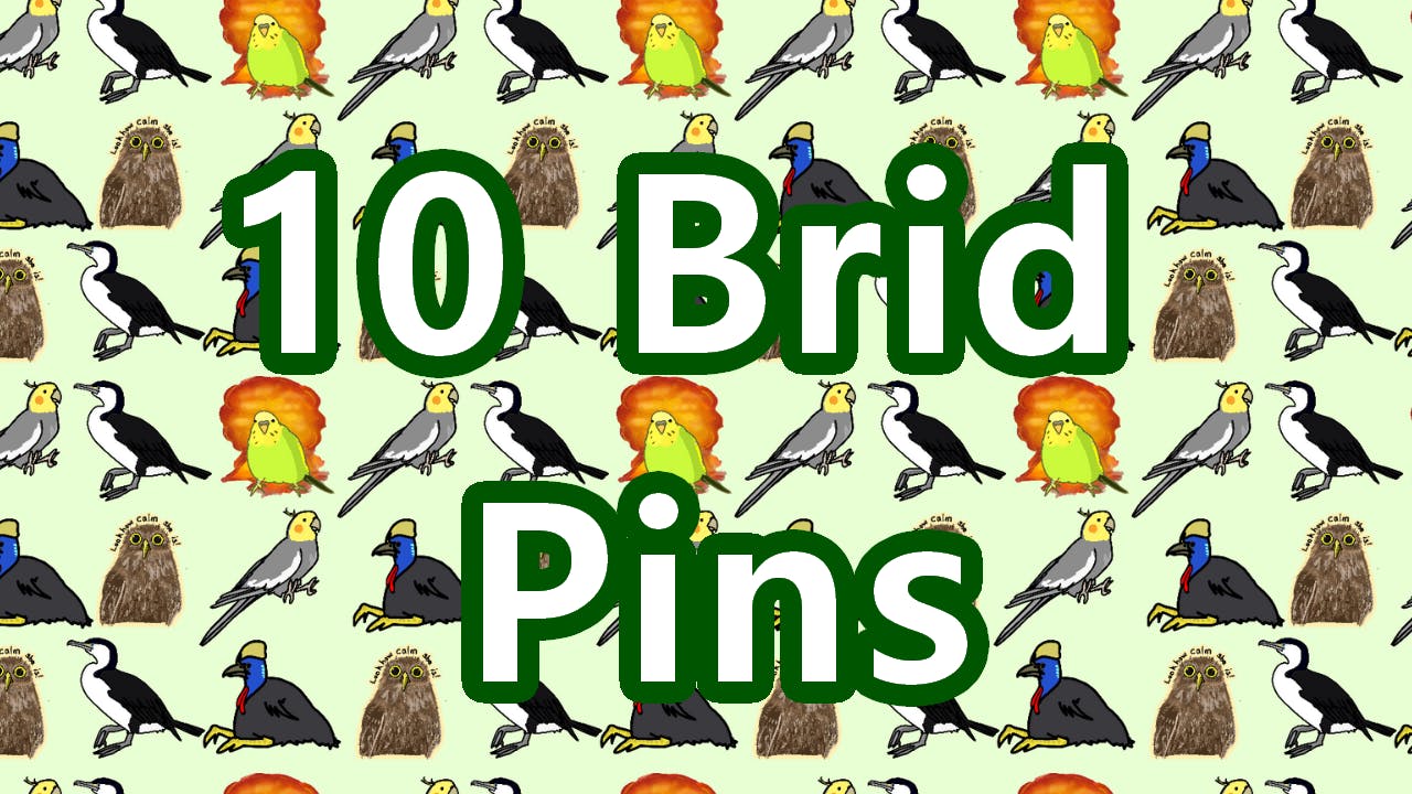 10 Brid Pins!