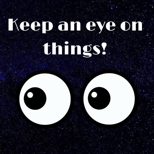 Keeping an eye on things!