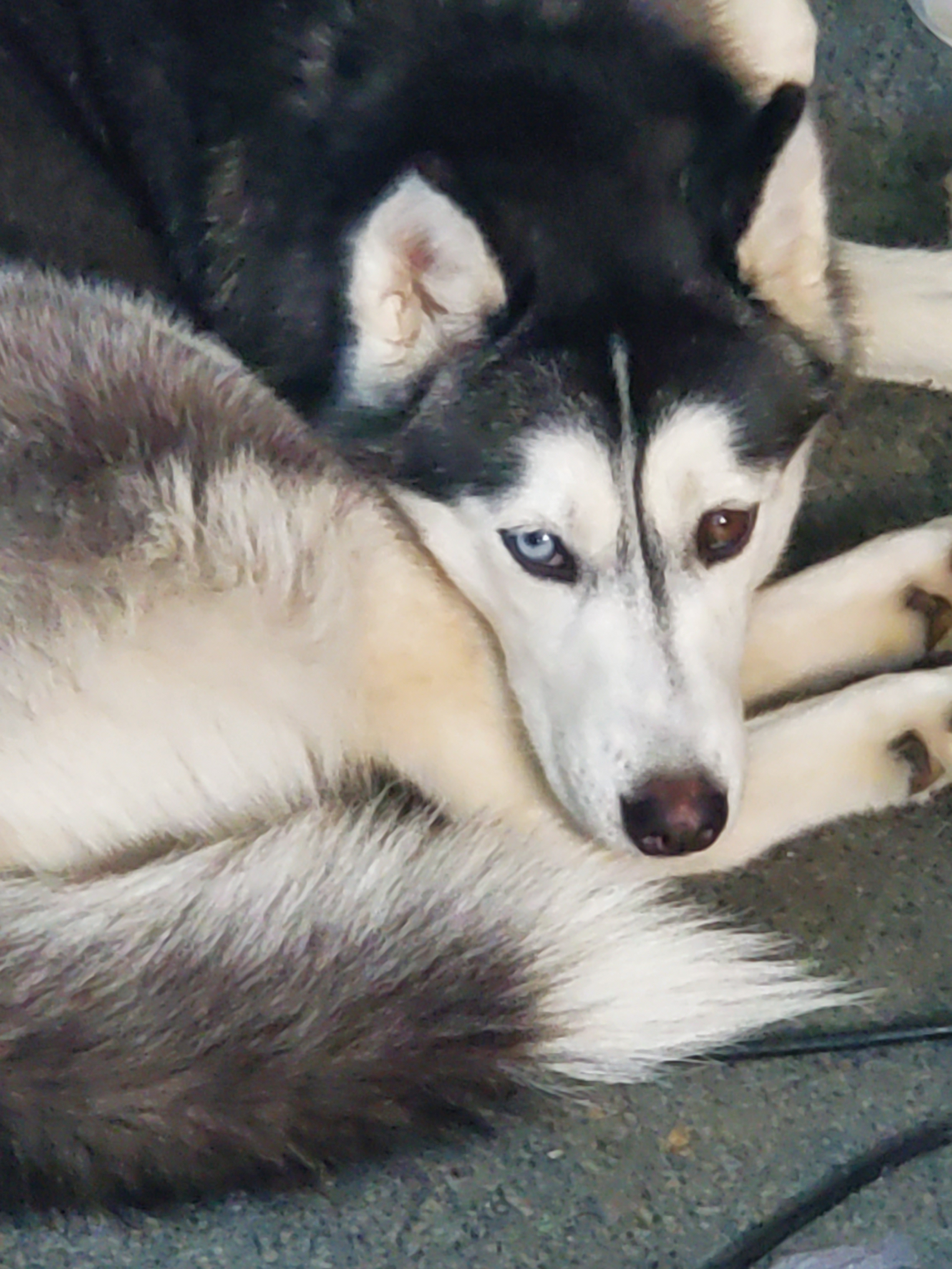 user avatar image for Deathe25