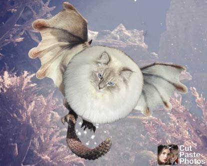 user avatar image for CalamariNeko