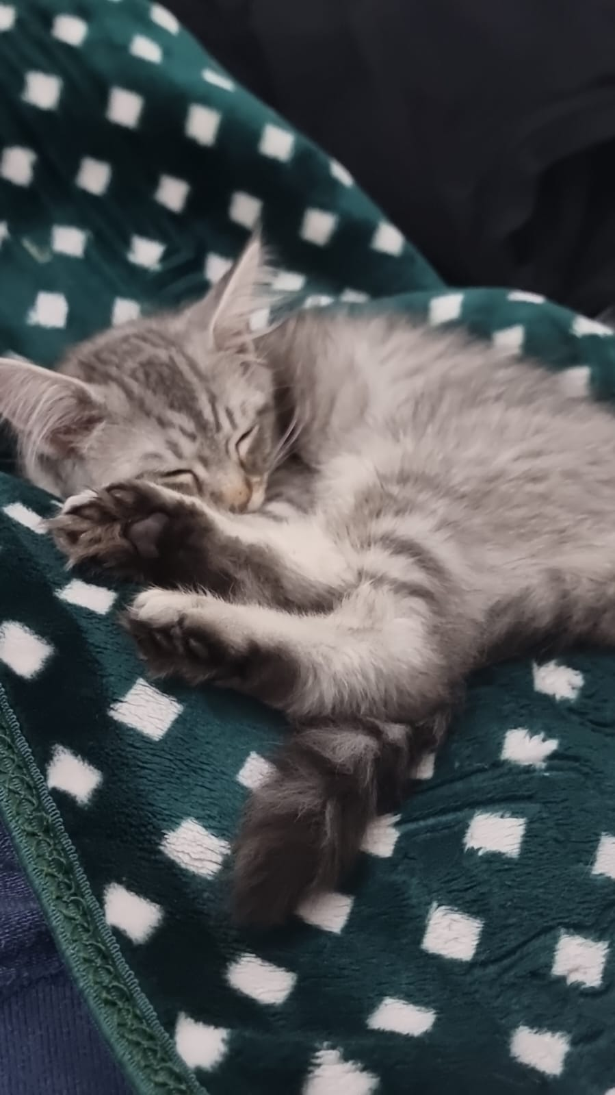 user avatar image for Becca Johnson