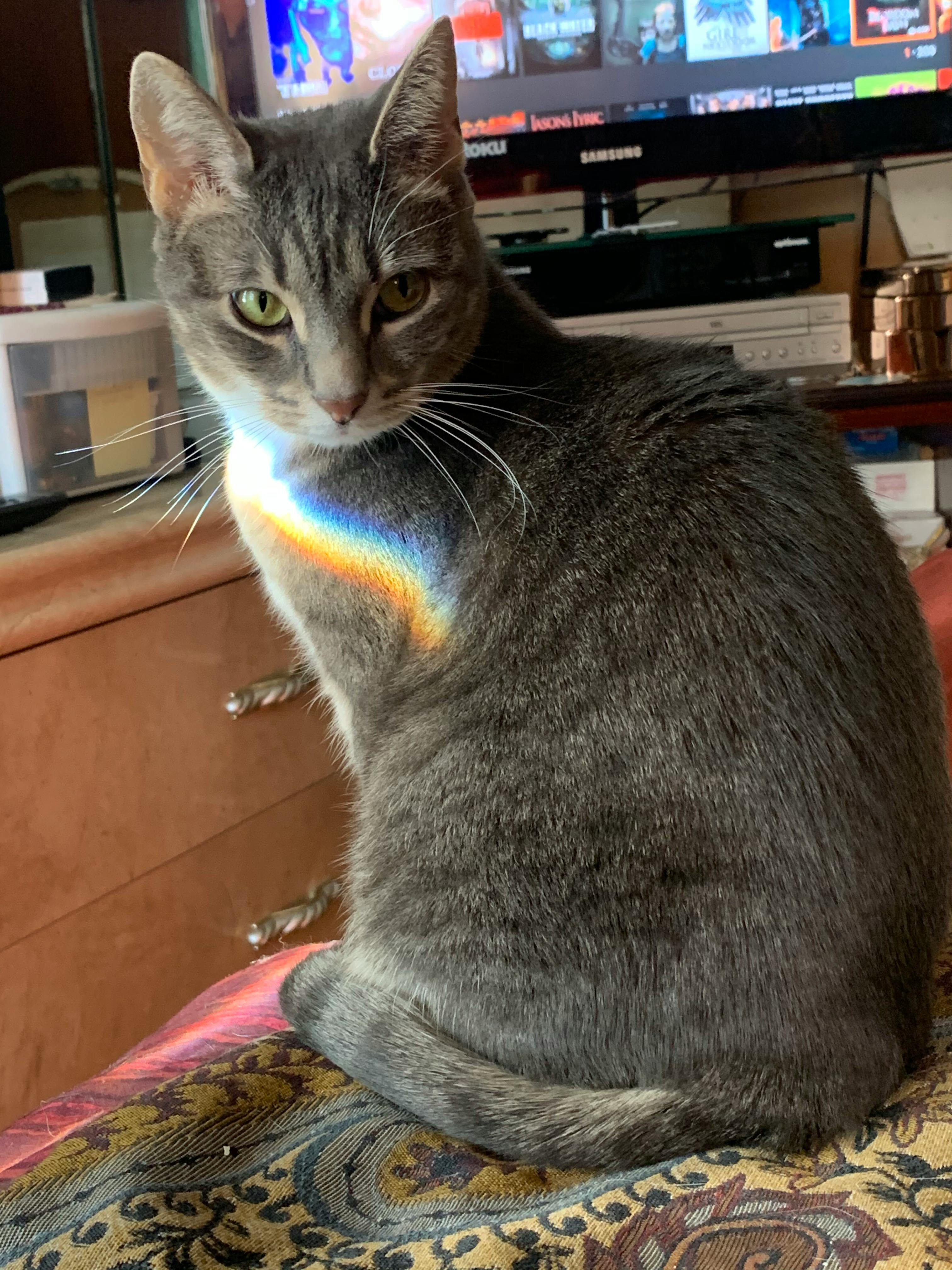 user avatar image for Rio