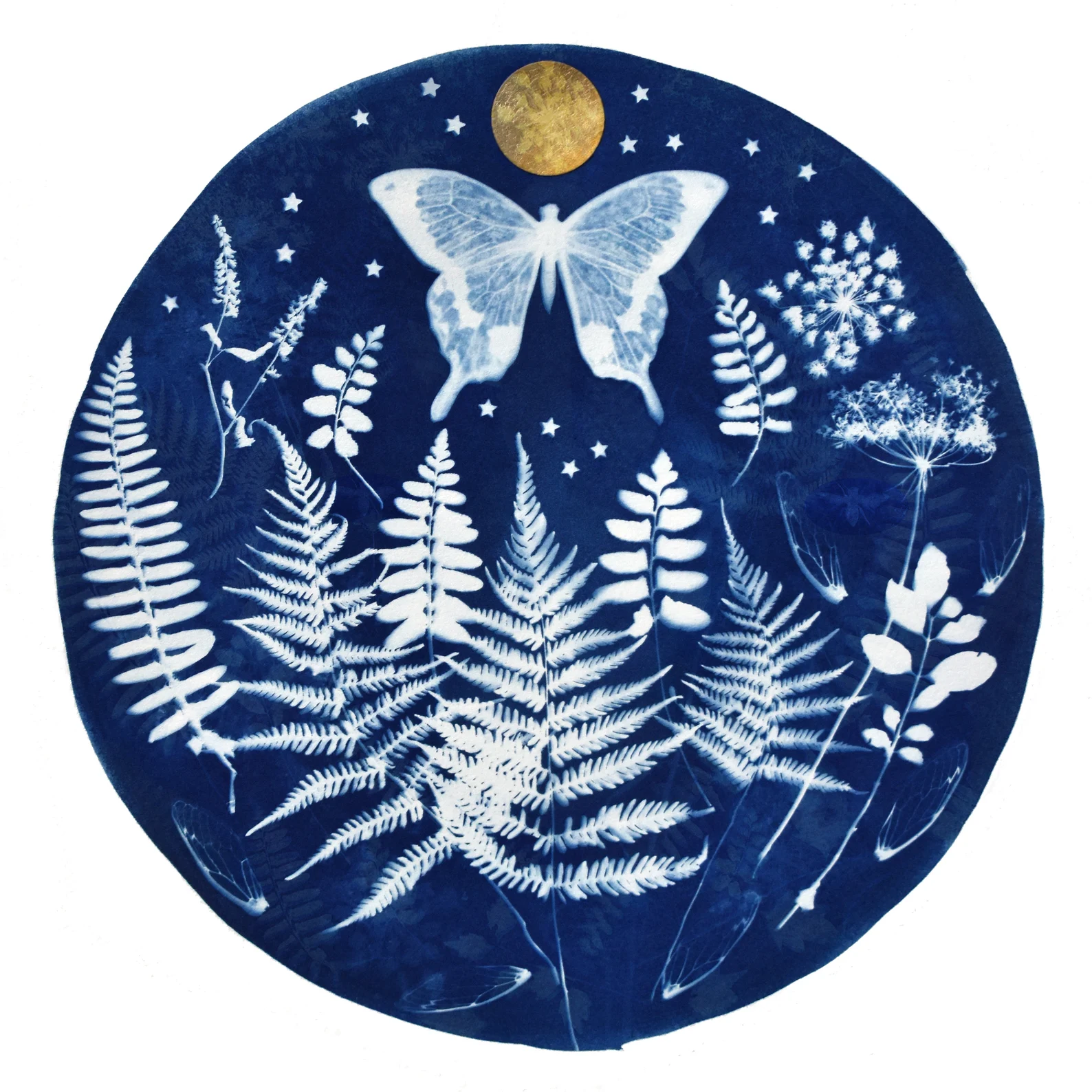 user avatar image for Firesong