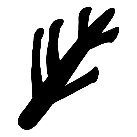 user avatar image for Sominex