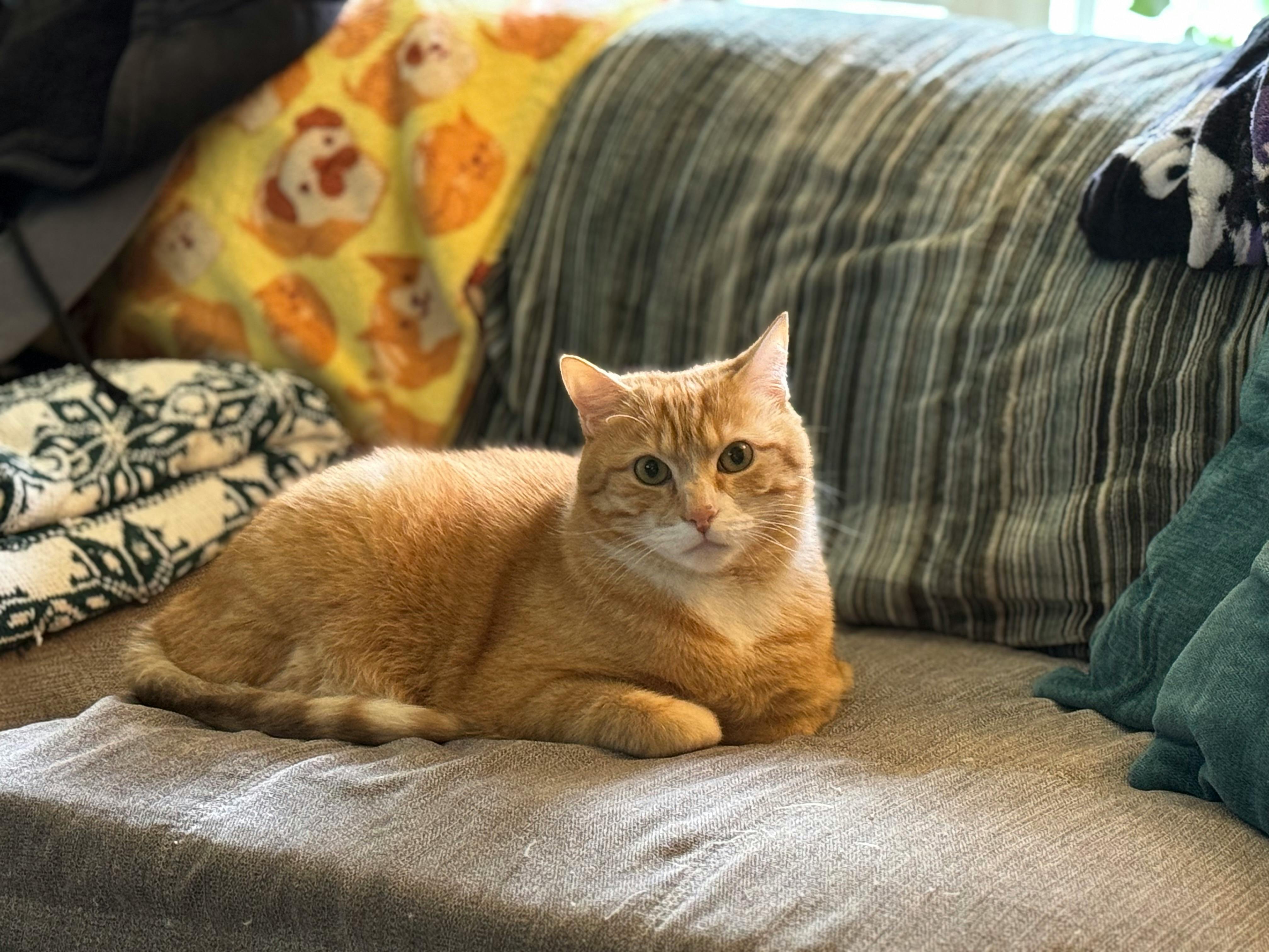 user avatar image for Thenshesaid