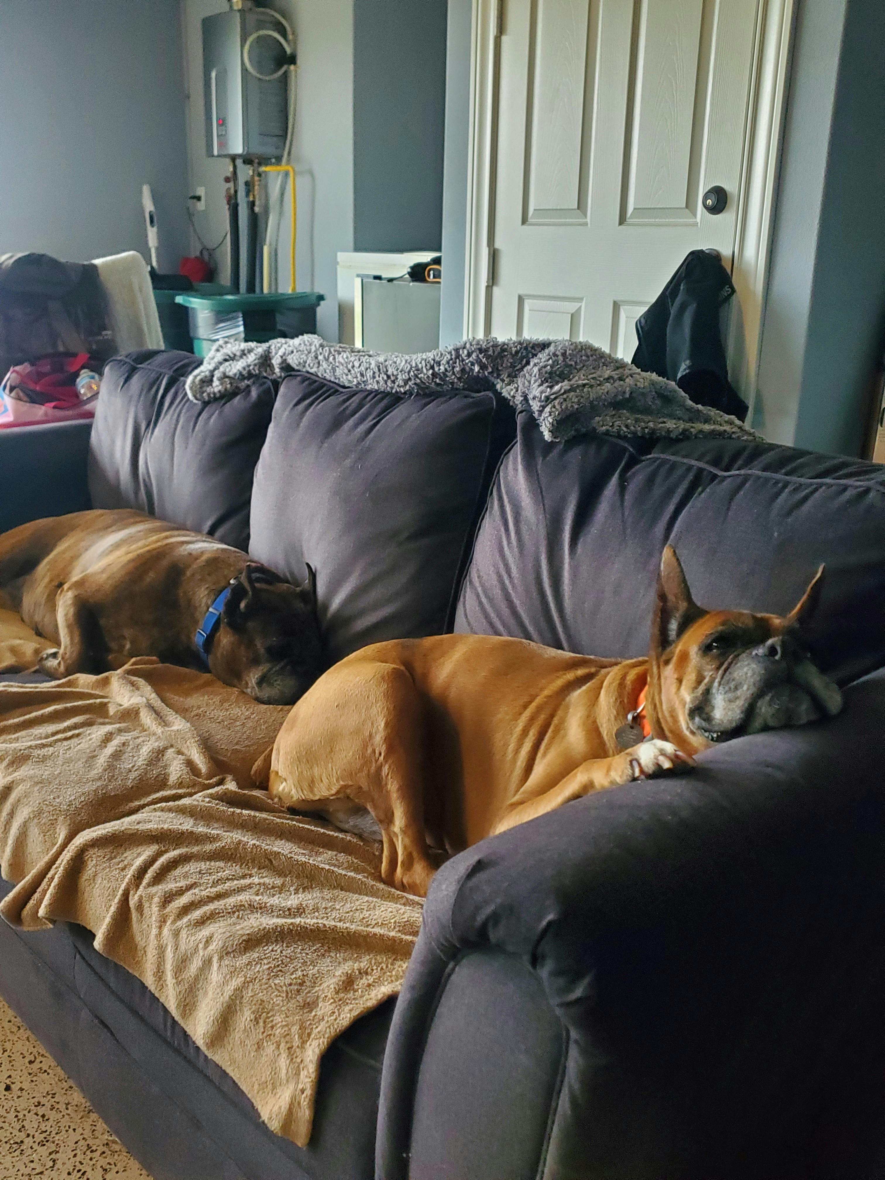 user avatar image for Johnnie Tomsik 