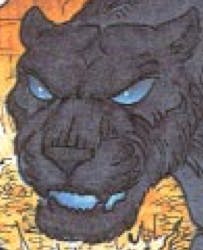 user avatar image for Mark Cogan