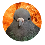 user avatar image for TehLeviter