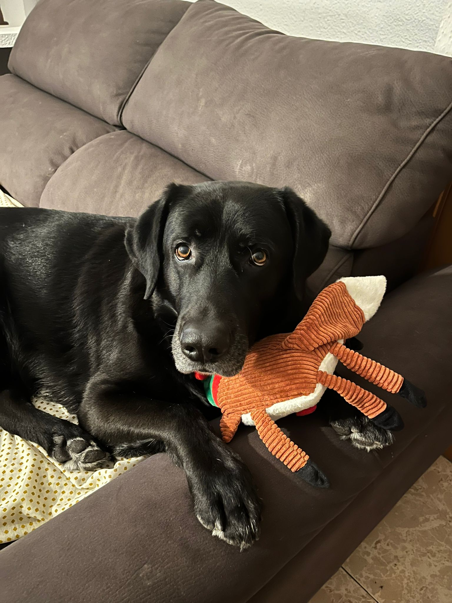 user avatar image for XemaZz