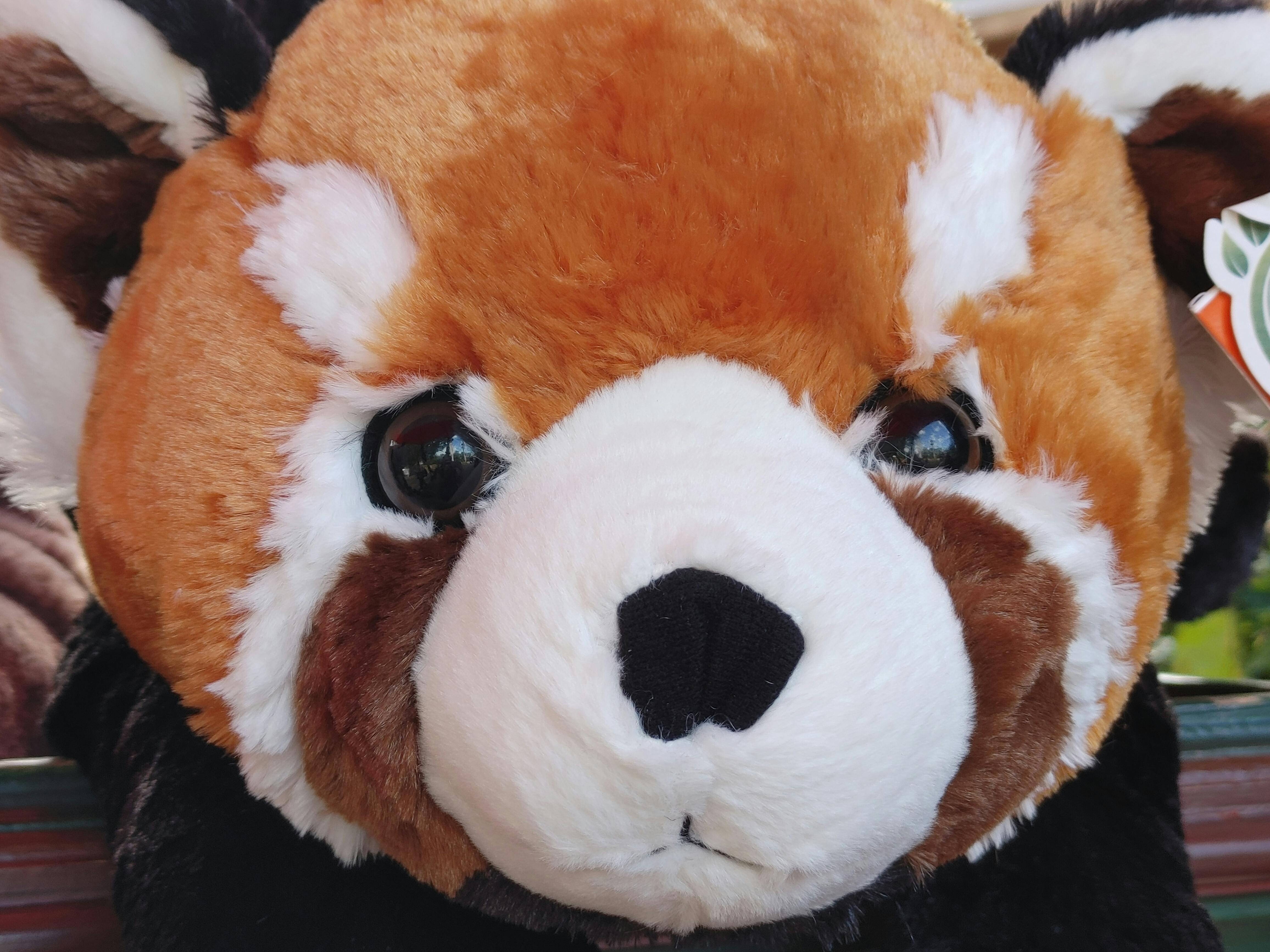 user avatar image for Anastasia