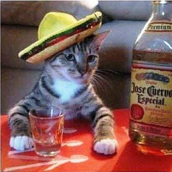 user avatar image for Omote