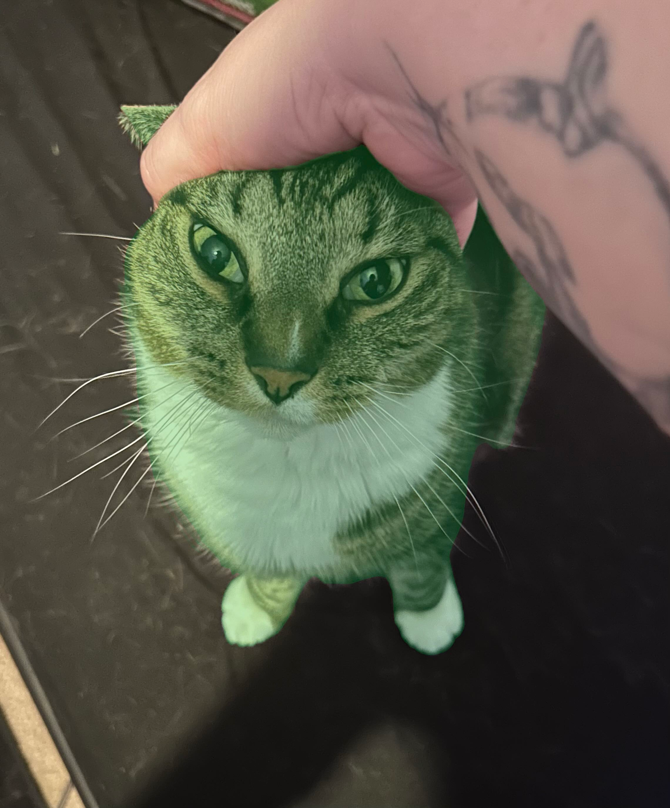 user avatar image for Nads