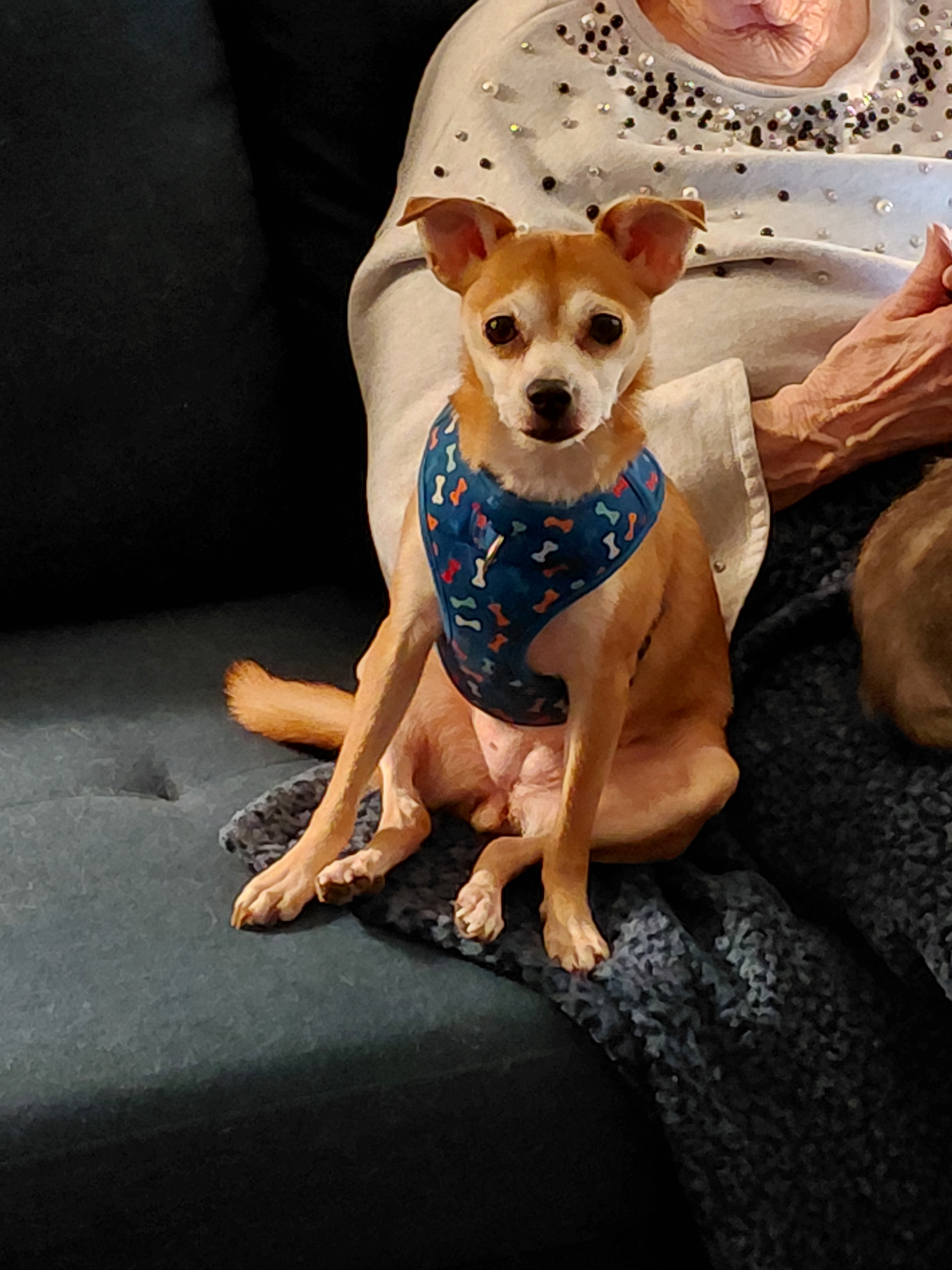 user avatar image for MamaDino 