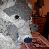 user avatar image for Steven Tolhurst