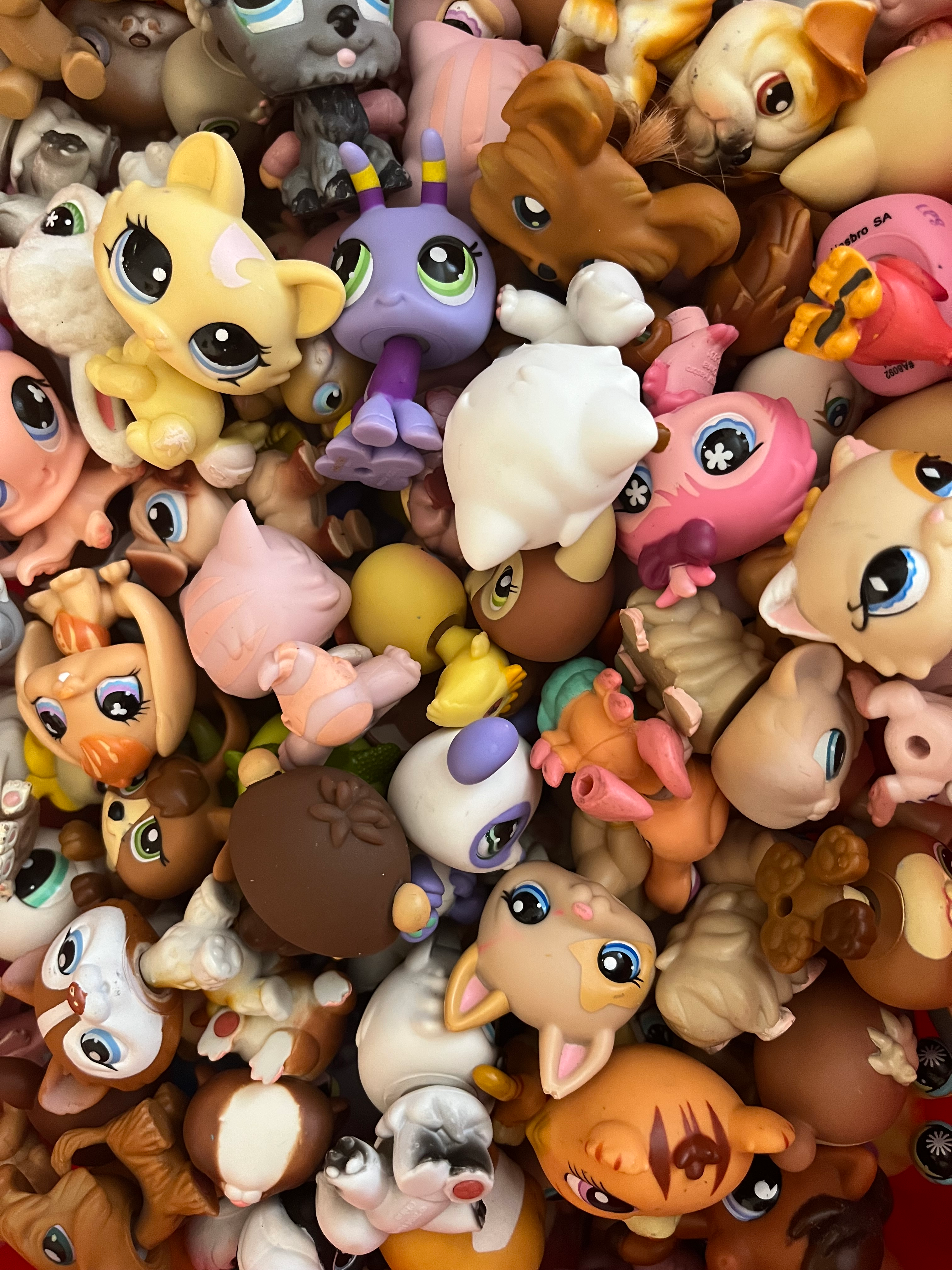 user avatar image for Katelynn Horton 