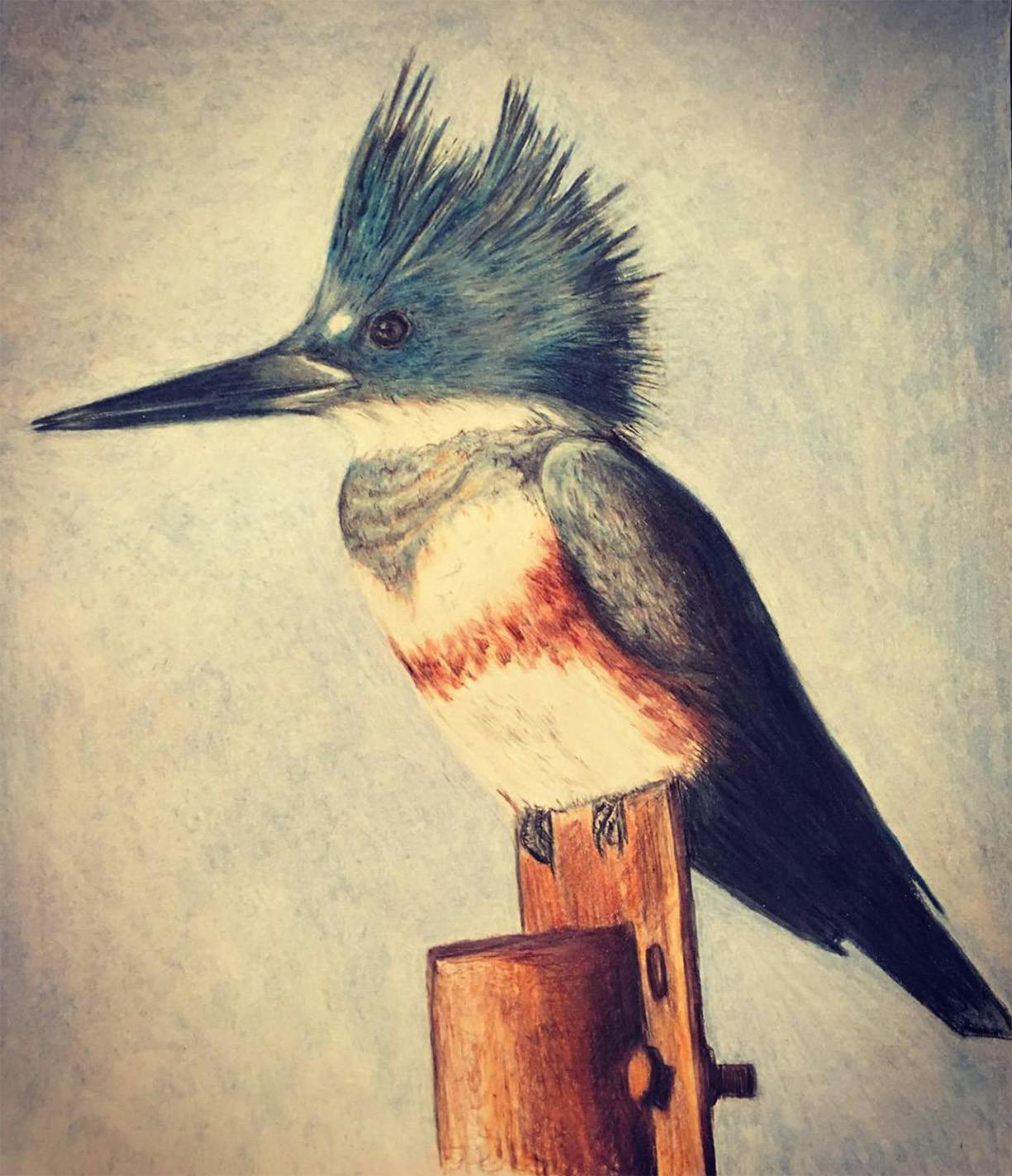 user avatar image for Barabbi