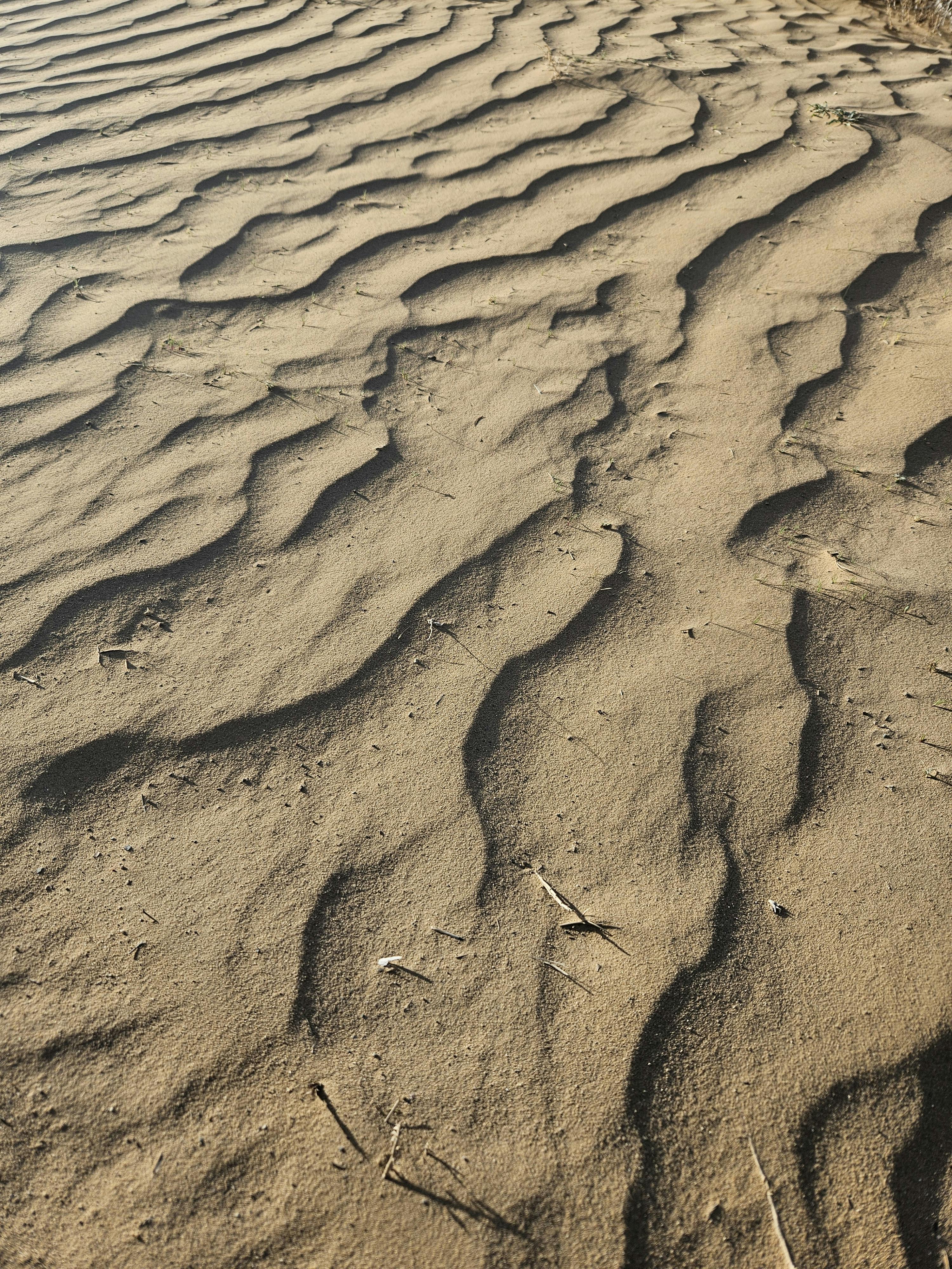 user avatar image for Dvinn