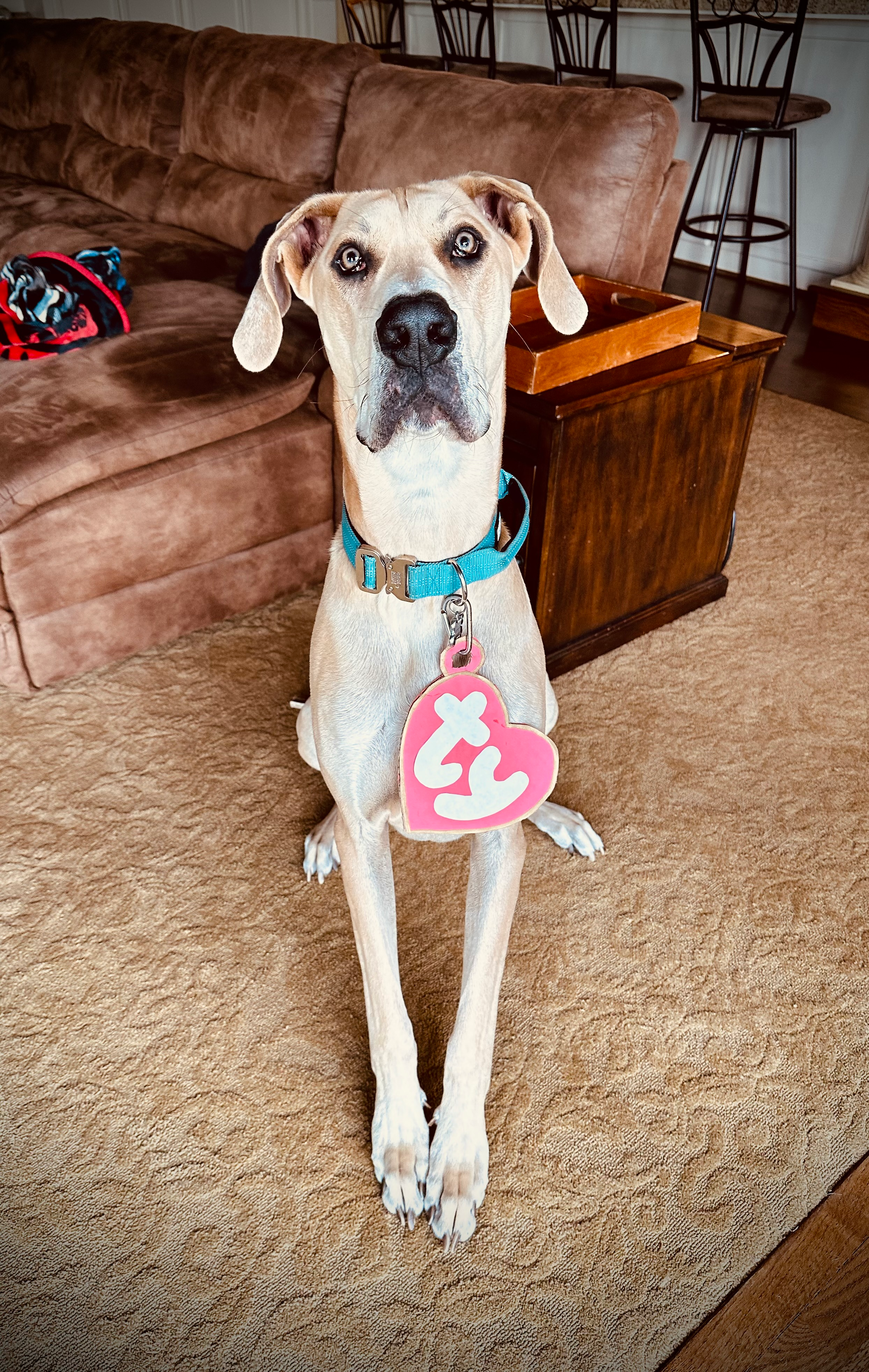 user avatar image for Joey Virtue 