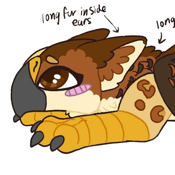 Red Tailed Hawk Strawberry Jaguar