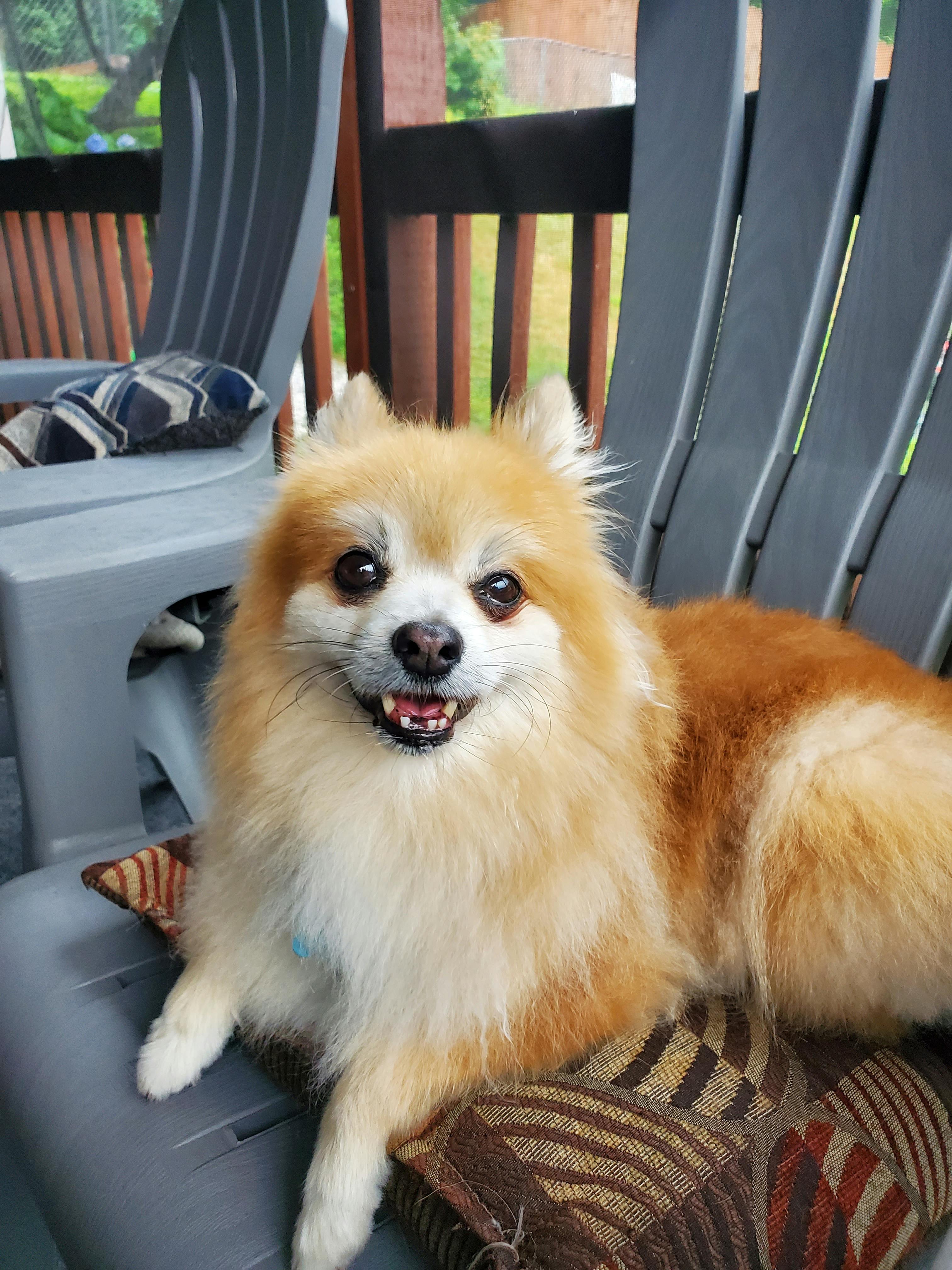 user avatar image for Molly