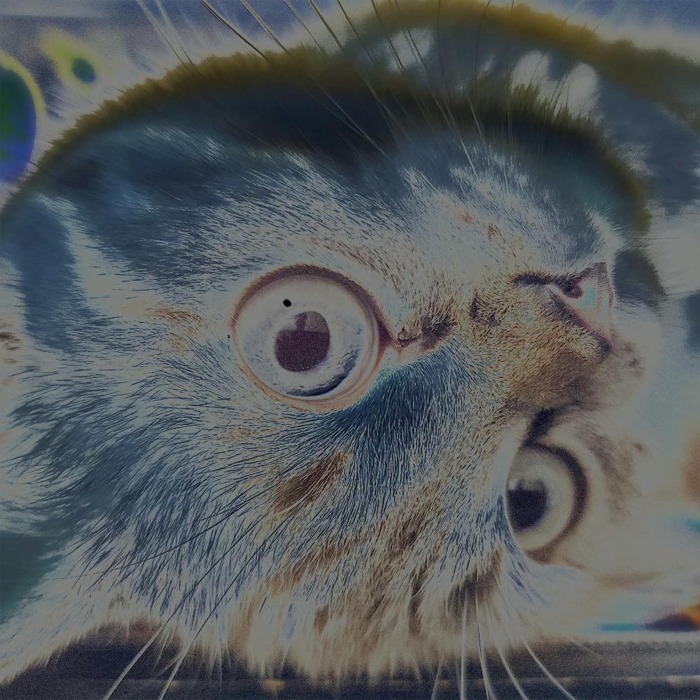 user avatar image for Rick McMaster