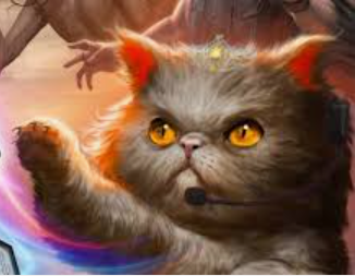 user avatar image for Matthew Pinto