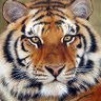 user avatar image for Alberto Lopes