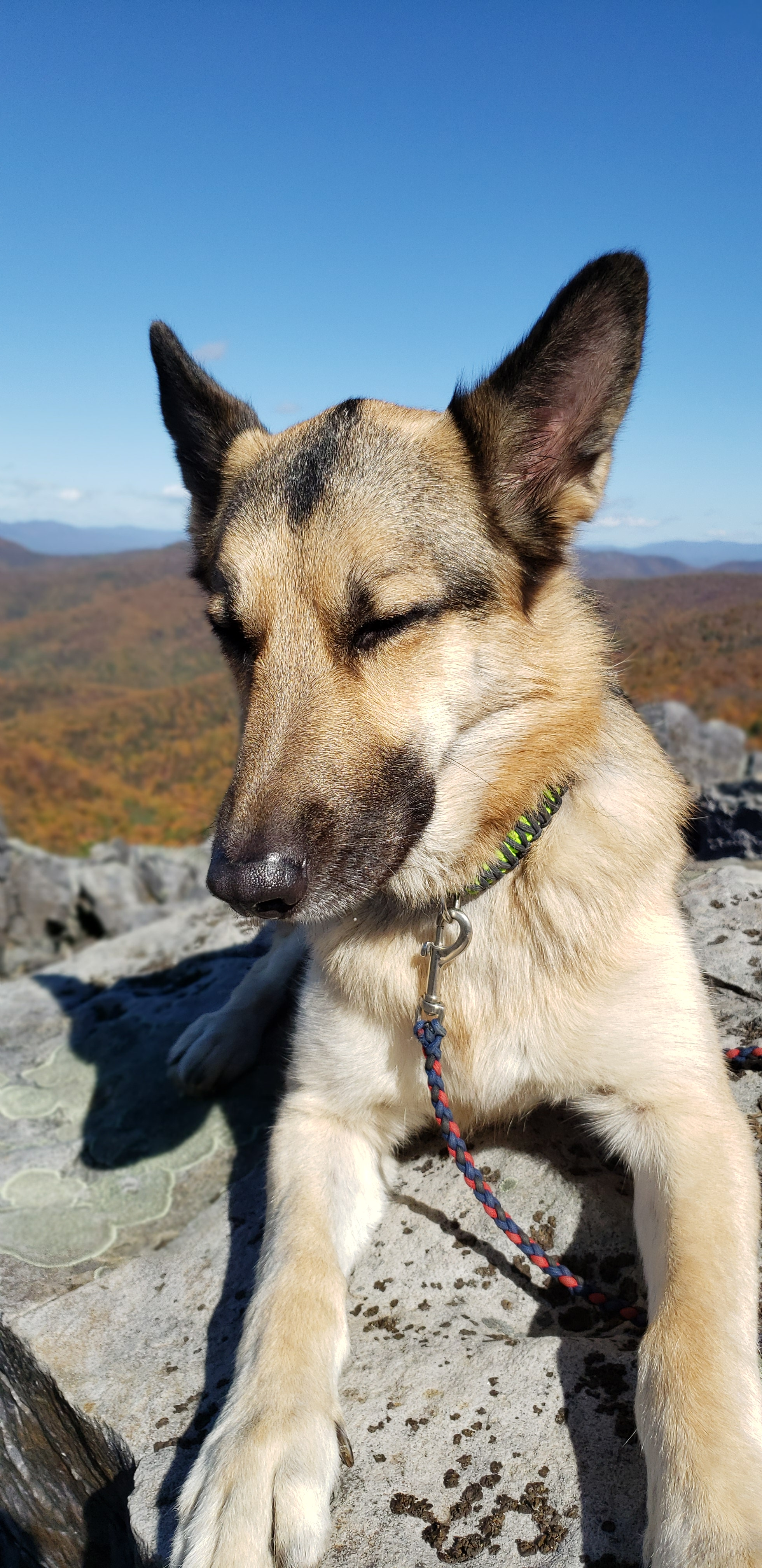 user avatar image for Levi Shaw