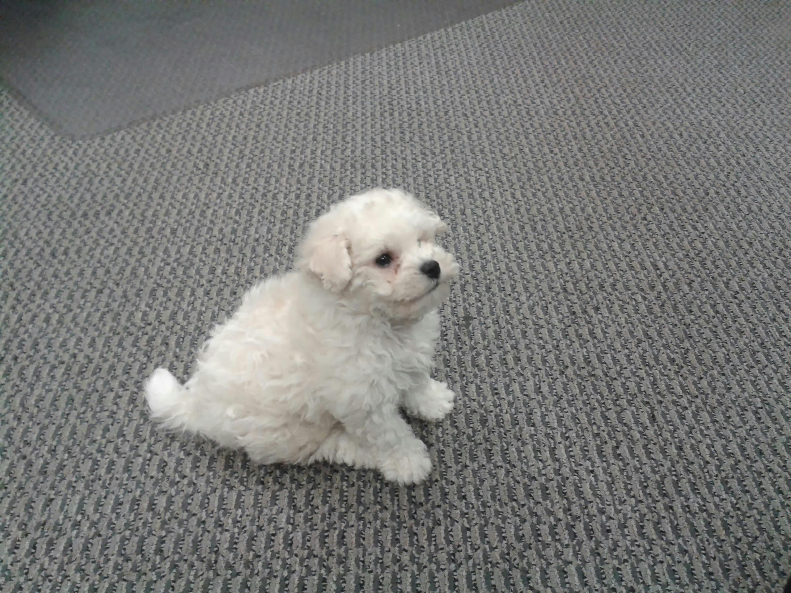 user avatar image for Peter W. Chan