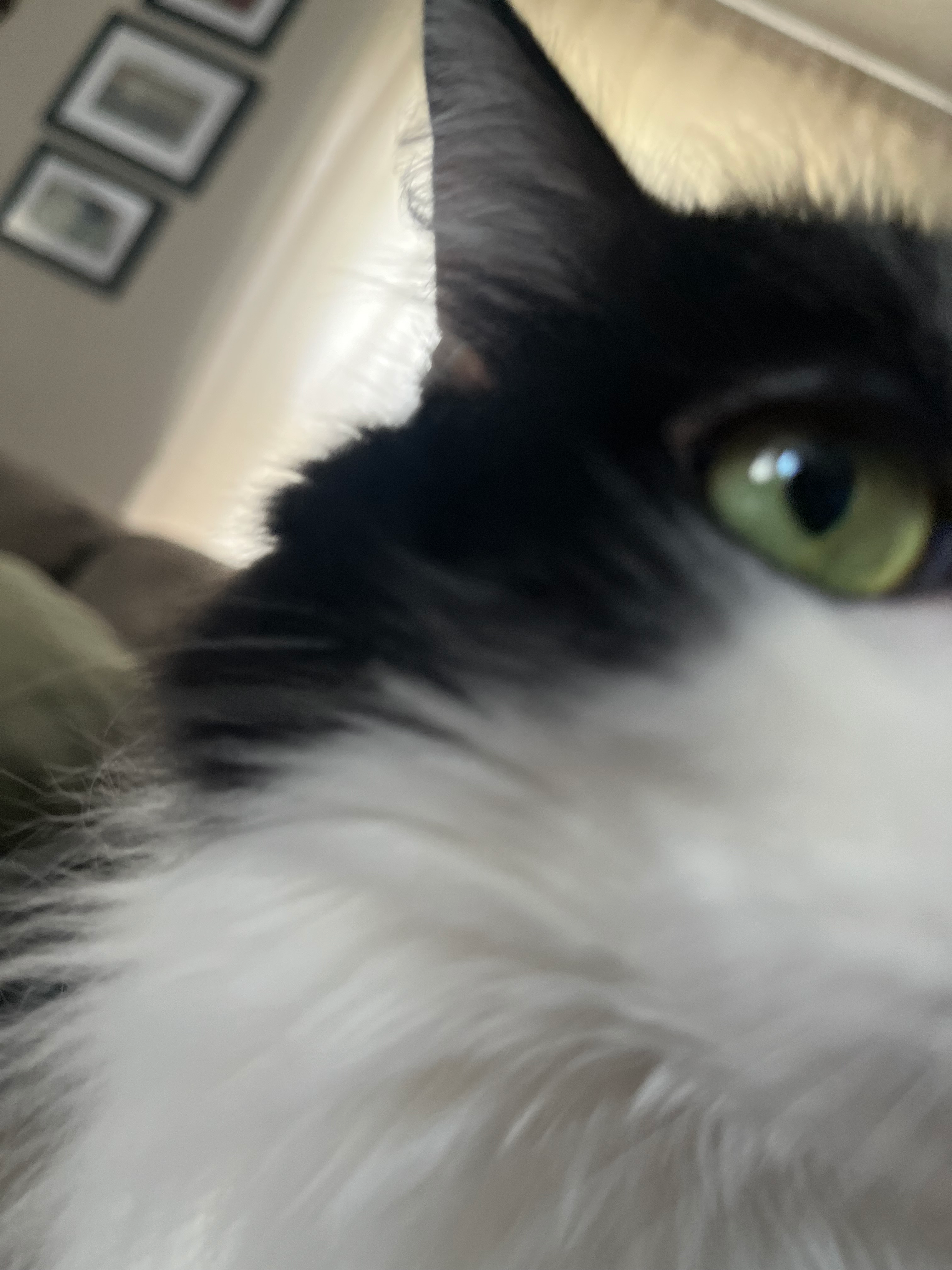 user avatar image for Maggie