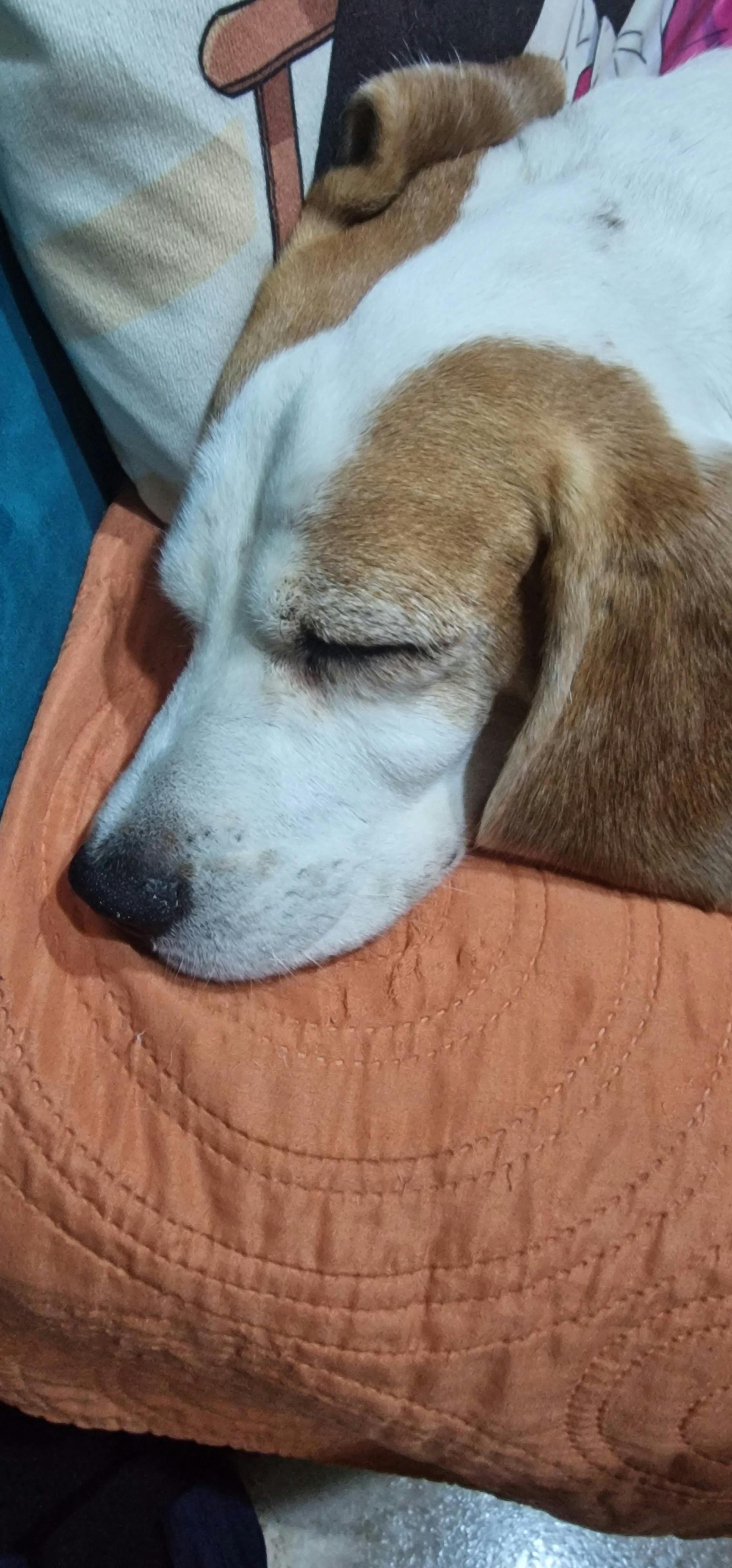 user avatar image for Nez