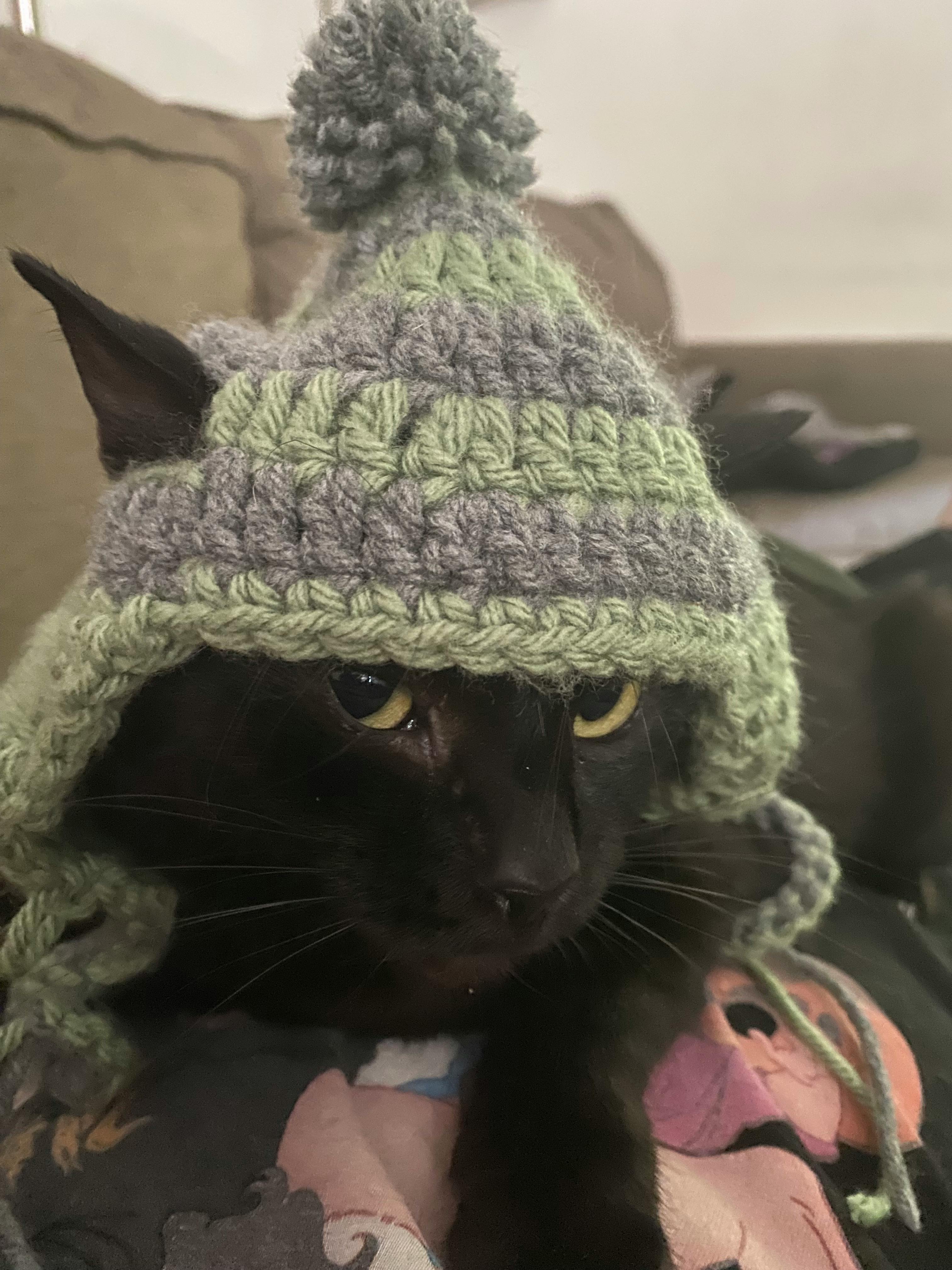 user avatar image for Quinntet