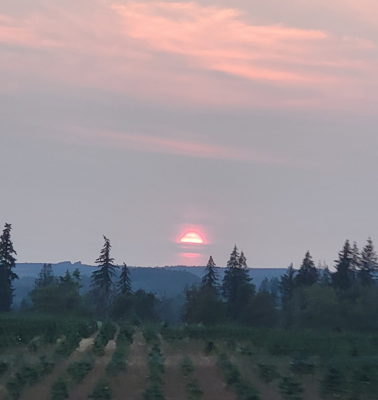 user avatar image for J