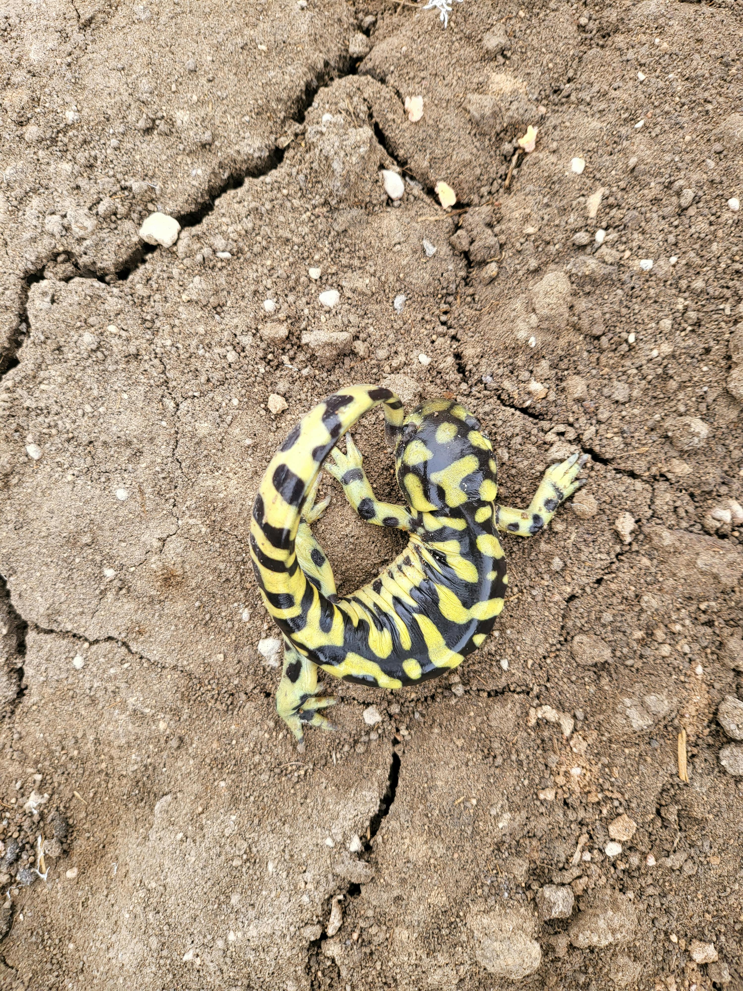 user avatar image for Nathan P Nasif