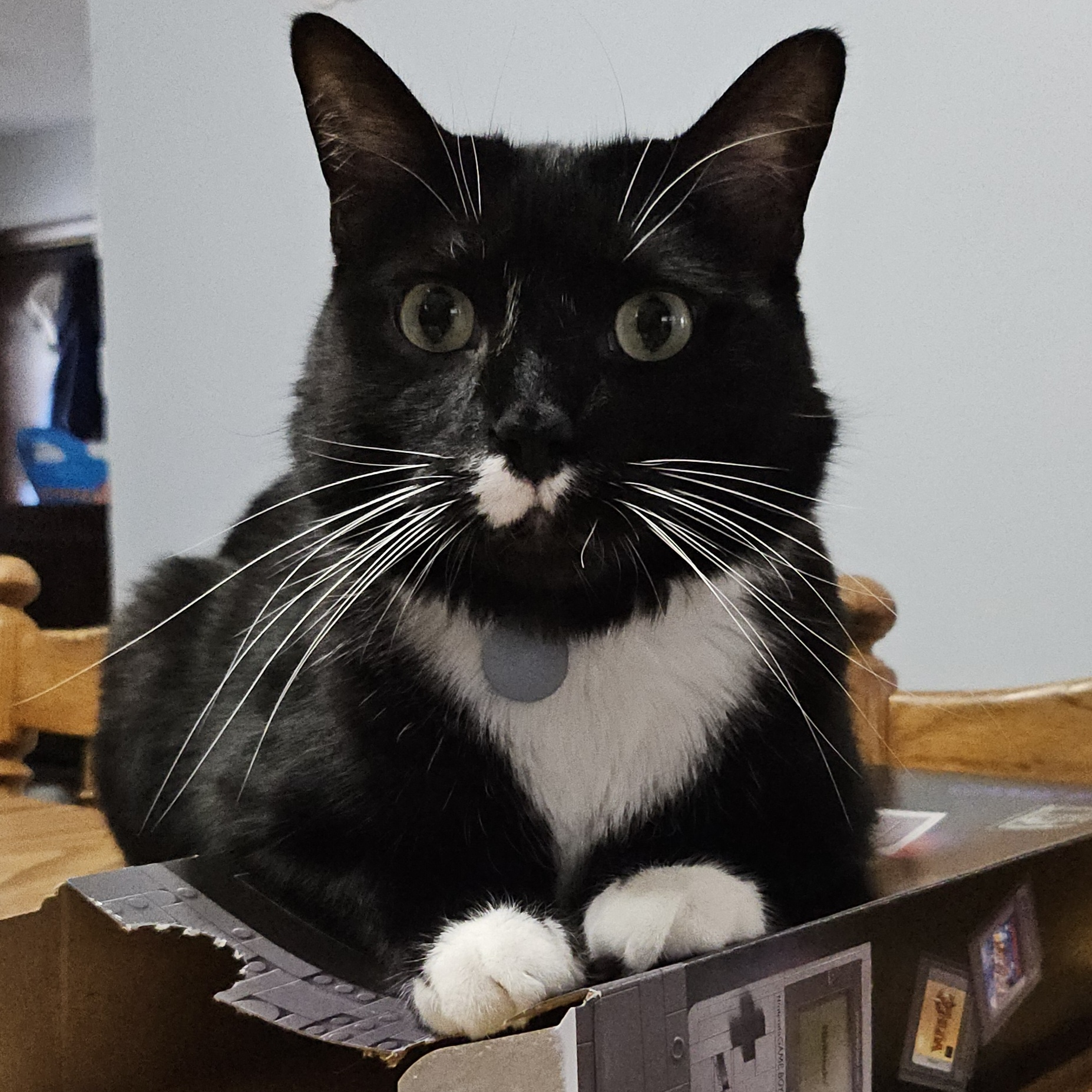 user avatar image for Raztool