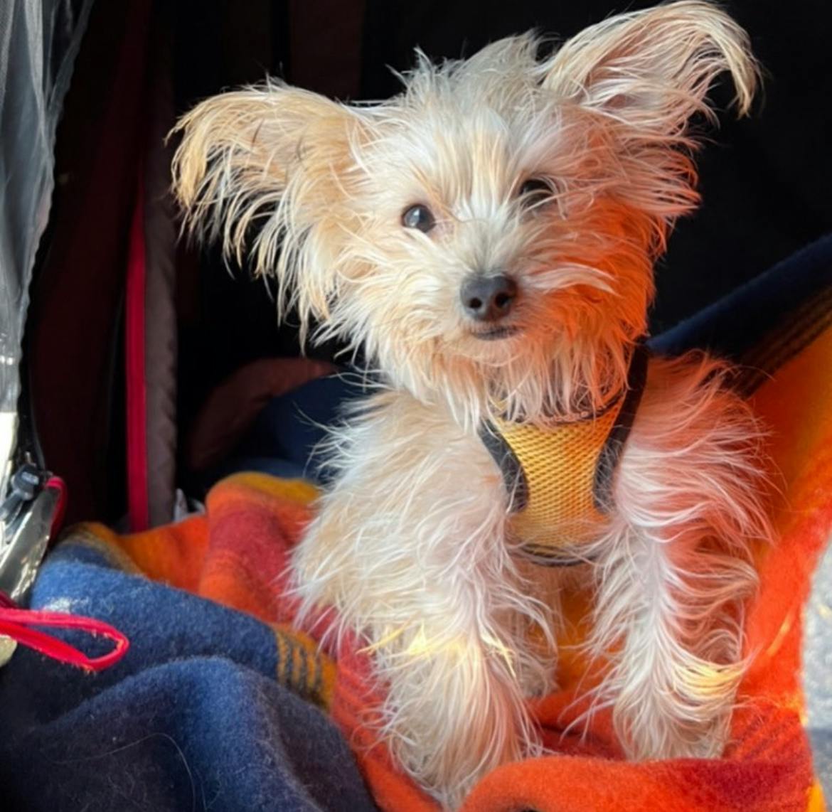 user avatar image for Tracey R