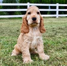 user avatar image for Nutspan