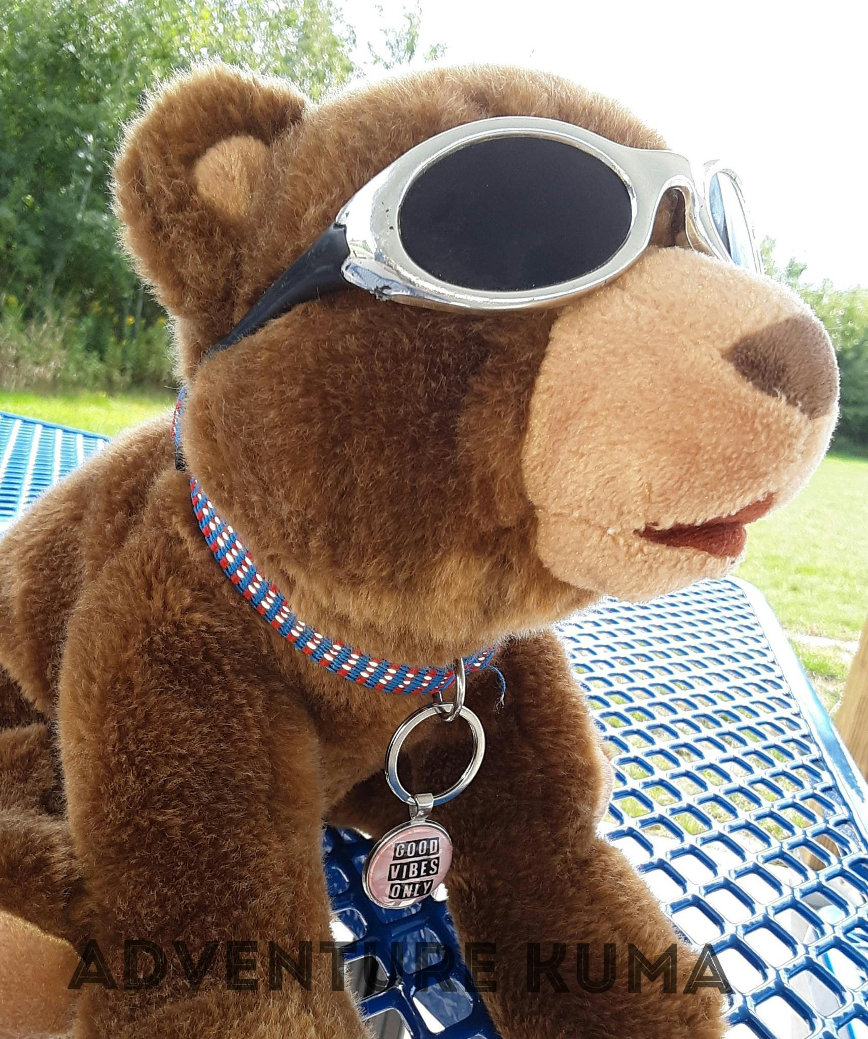 user avatar image for Bear on a Tricycle