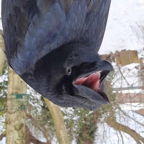 user avatar image for Samantha B.